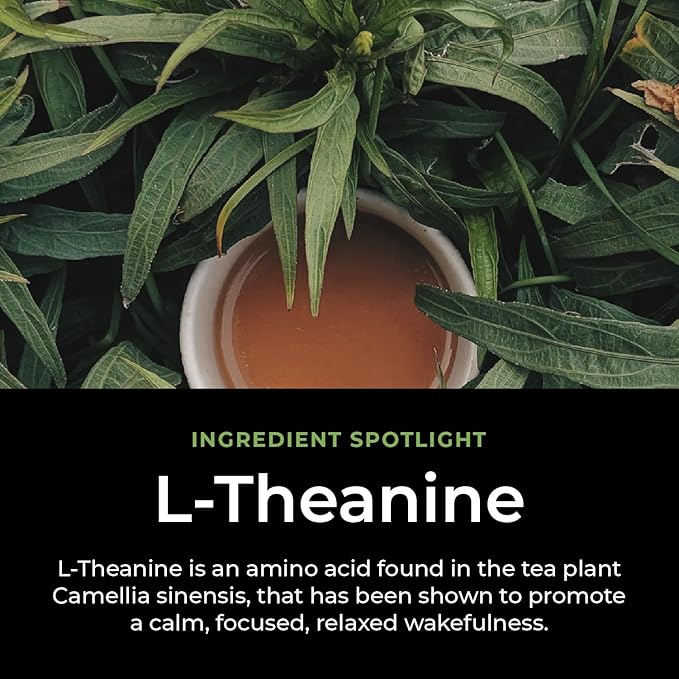 CogniTea Productive Energy Tea - Enhanced Focus & Energy with 100mg L-Theanine, 90mg Caffeine Organic Guayusa & Yerba Mate, Assam Black Tea - Crash-Free Cognitive Boost