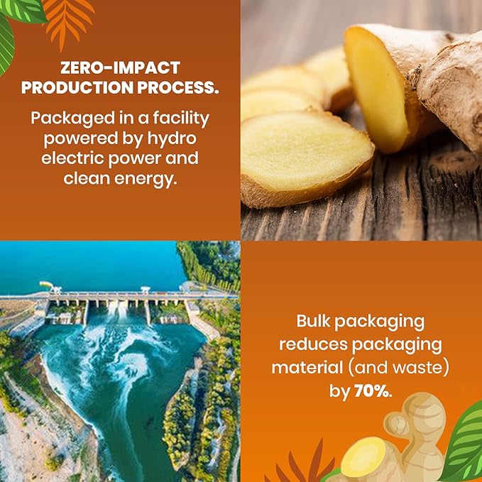 Organic Ginger Tea — 100 Tea Bags, Organic Herbal Tea From Single Origin, Eco-Friendly, Non-GMO Caffeine Free, Cederberg Tea Company.