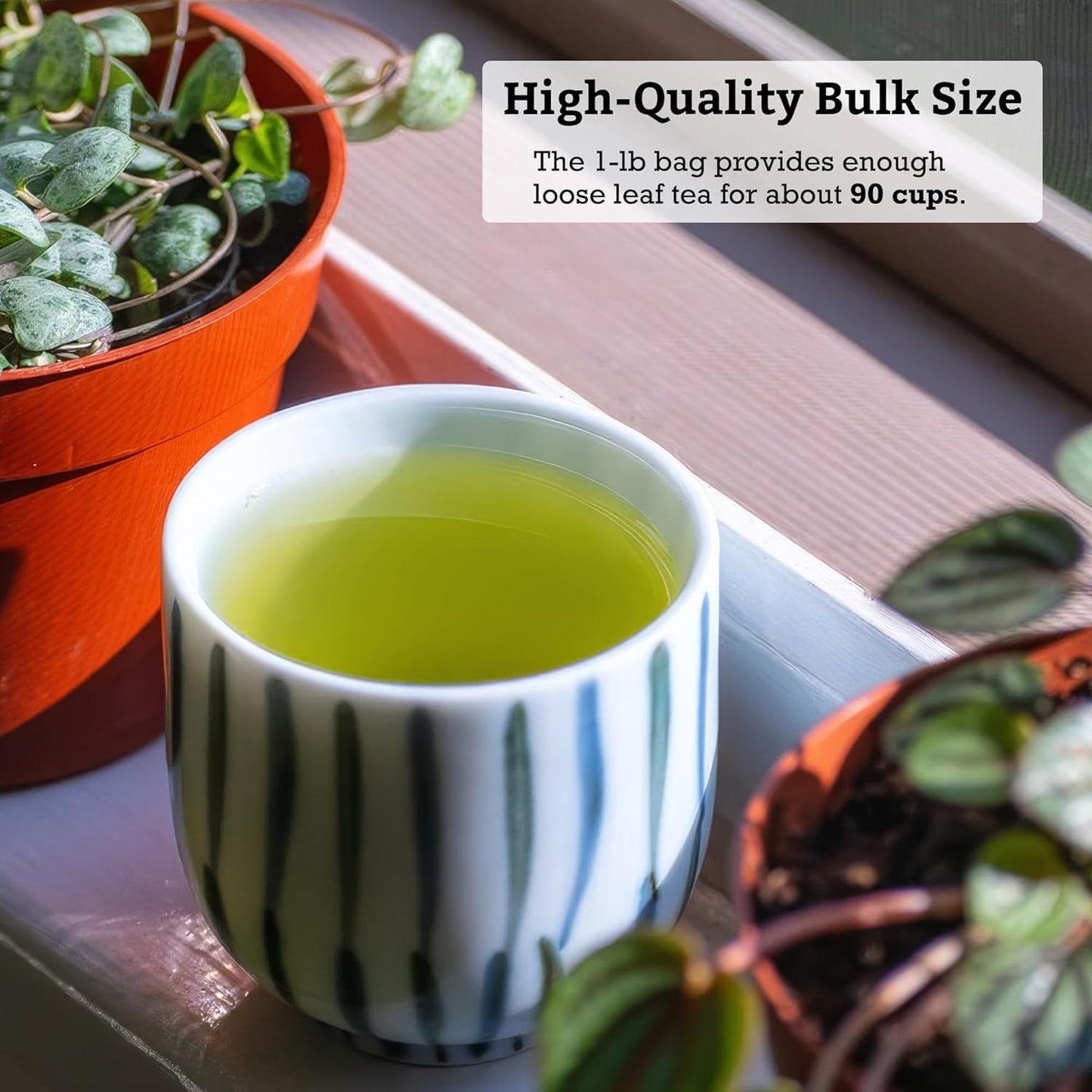 SUGIMOTO TEA Japanese Sencha Fukamushi Green Tea Loose Leaf Bulk 1.0 lb