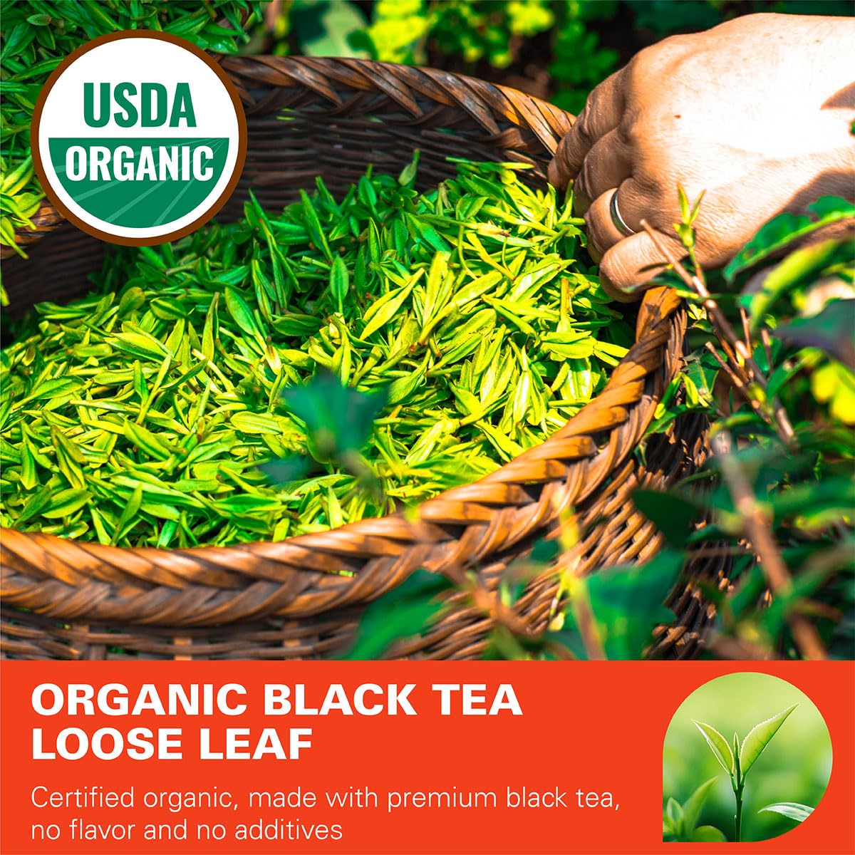 WT WEETEE Organic Black Tea Loose Leaf, 110+ Cups, No Bitter &amp; Rich Flavor | Pure Organic FOP Black Tea with Rich Malt, Floral &amp; Fruity Notes, Premium Loose Leaf Black 228g /8oz for Hot or Iced &amp; Latte