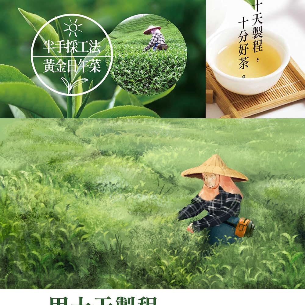 TAIWAN CHA REN Premium Series - Taiwan Dong Ding Oolong Tea Loose Leaves, 3.5oz (100g)