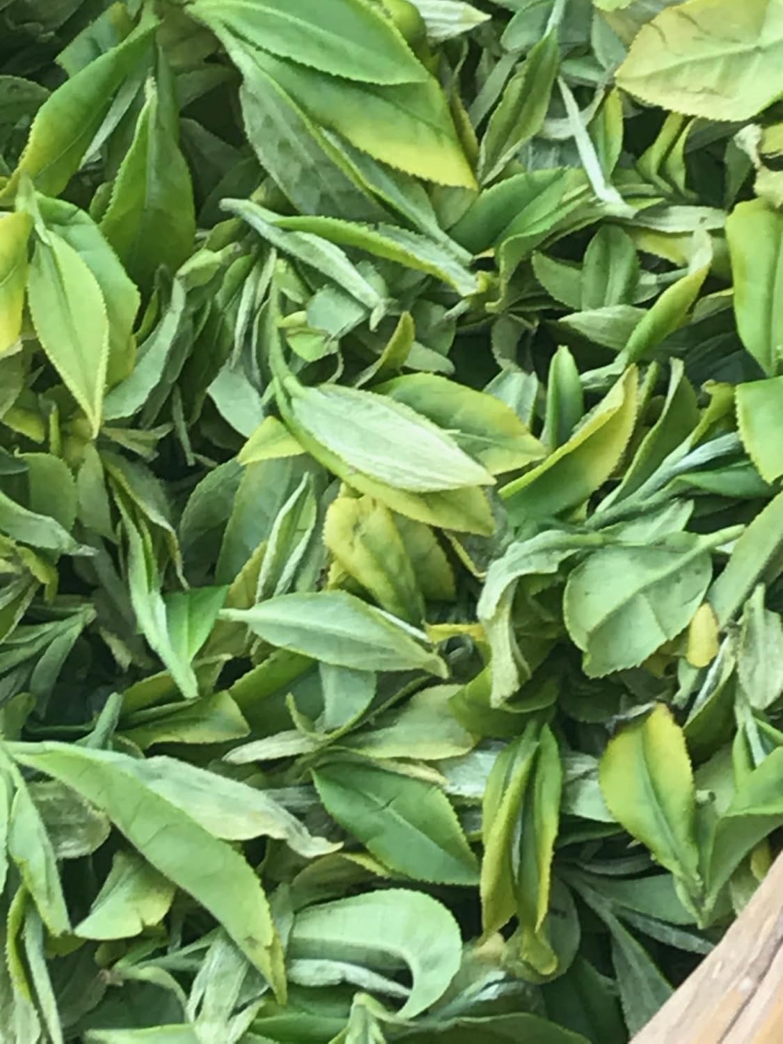 Silk Road Teas, Organic Loose Leaf White Tea, White Peony, Artisan & Fair Trade, Flavors of Melon & Honey, 1.6 ounces