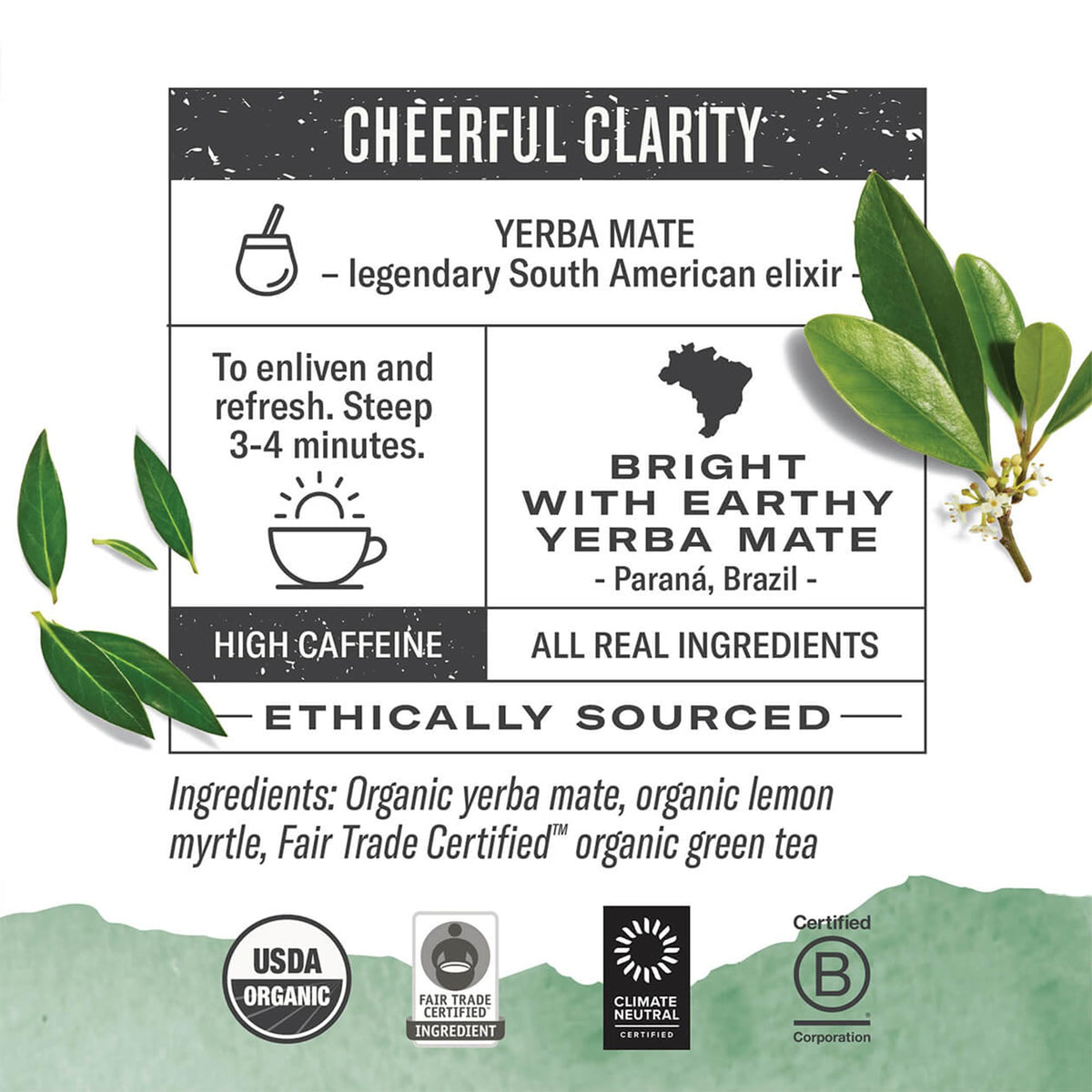 Numi Organic Maté Lemon Tea, 100 Green Tea Bags