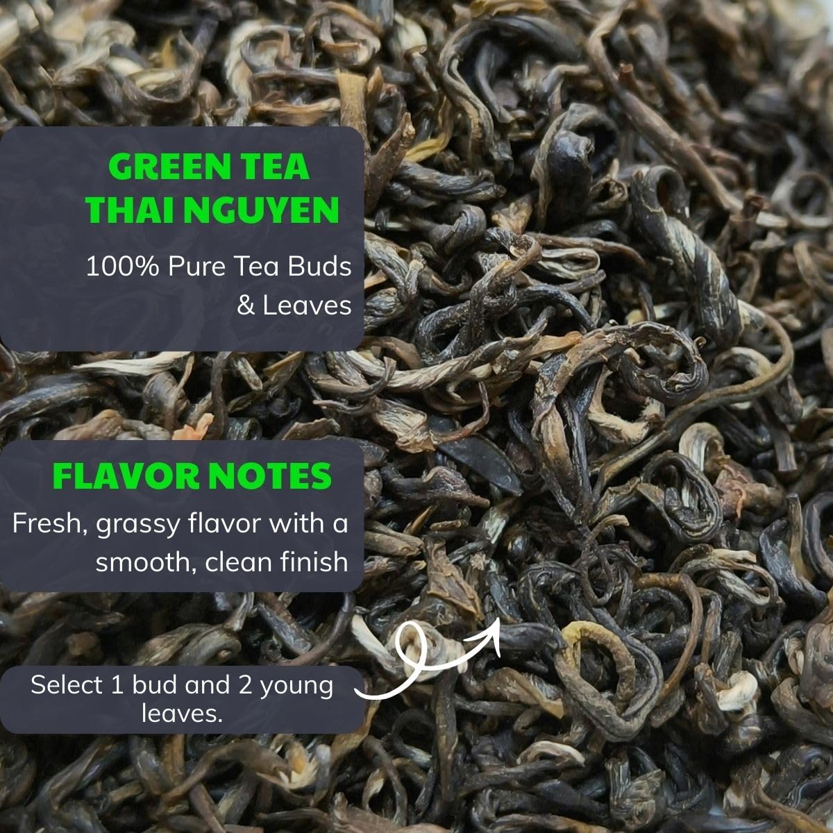 BACH TRA Green Tea Loose Leaf 17.64 oz | Authentic Thai Nguyen Tea Buds | Smooth & Naturally Low Caffeine | Large Value Pack
