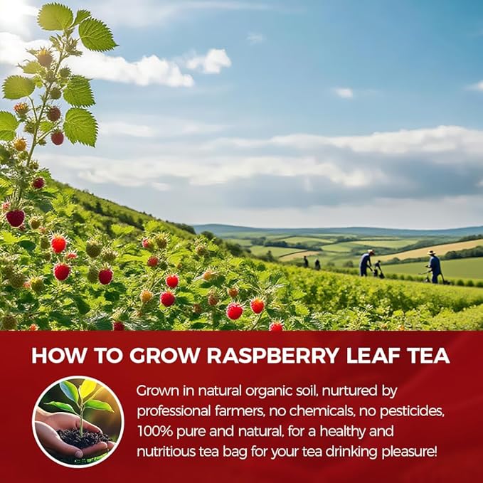 WOTIHA-Natural Raspberry Leaf Tea 120g. 80 TeaBags. Pure Red Raspberry Leaf Herbal Tea. Non-GMO • Additive-Free • Caffeine-Free
