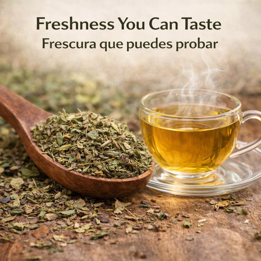 Damiana Leaf Te – 4 oz (113g) Loose Herbal Tea + Stainless Steel Tea Infuser – 100% Natural Turnera diffusa – Authentic