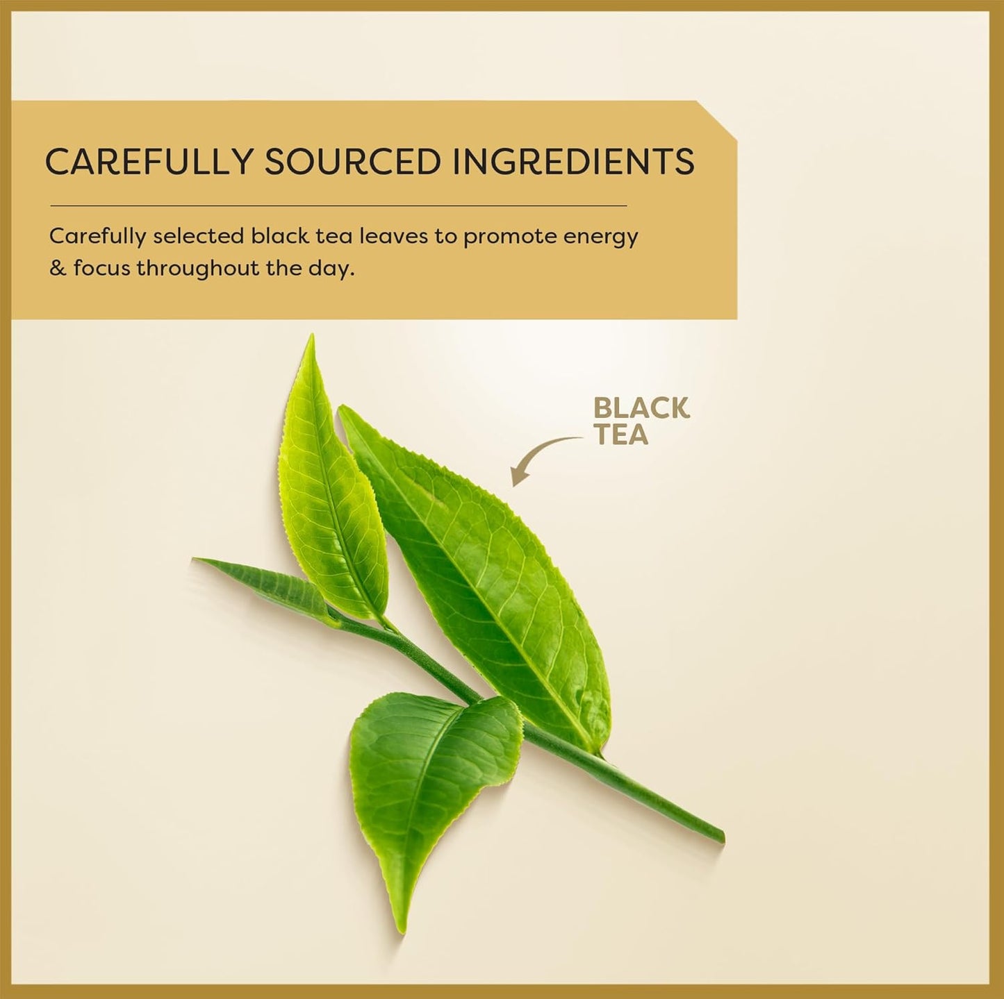 Wissotzky Classic Black Tea, 100 Tea Bags | Smooth & Full Bodied Tea | Antioxidant Rich | Rich Flavor Black Tea Bags