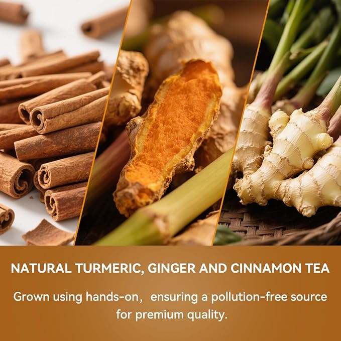 BEICAI 240g/120-Count Premium Turmeric Ginger Cinnamon Tea Bags | 100% Natural, Triangular Corn Fiber for Full-Bodied Brew | Supports Digestive & Immune Health (120)