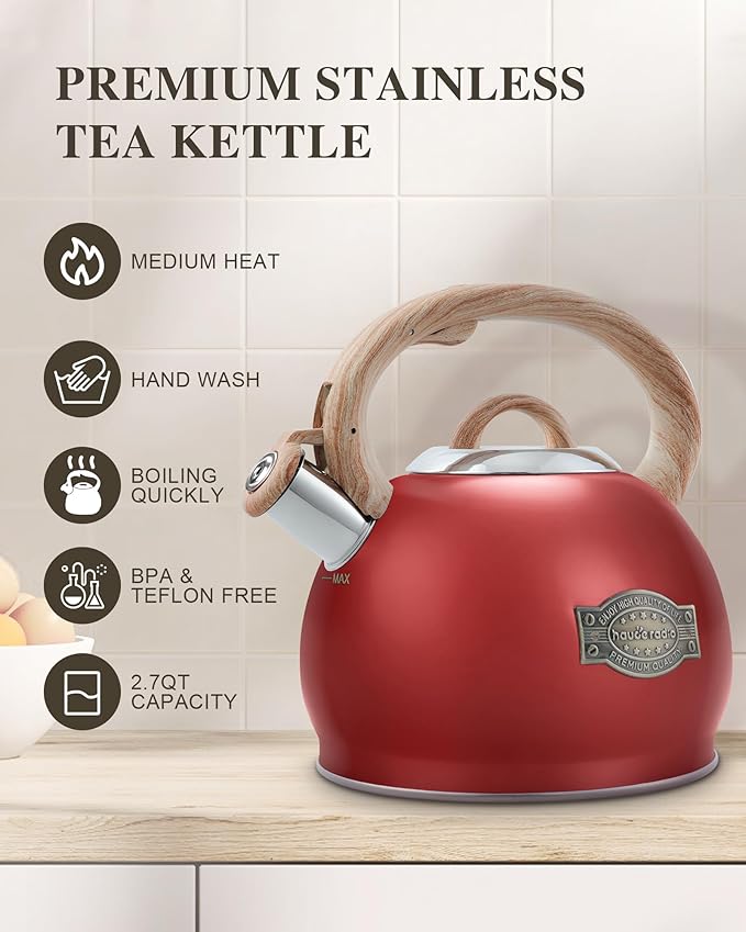 Tea Kettle Stovetops, 2.7 Quart Food Grade Stainless Steel Water kettles for Stove Top Teatop with Anti-hot Ergonomic Handle