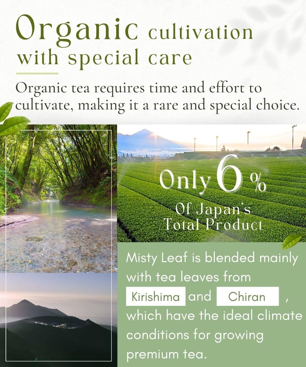 Misty Leaf, Organic 1st Flush Sencha, Loose Leaf Japanese Green Tea (2.82oz)