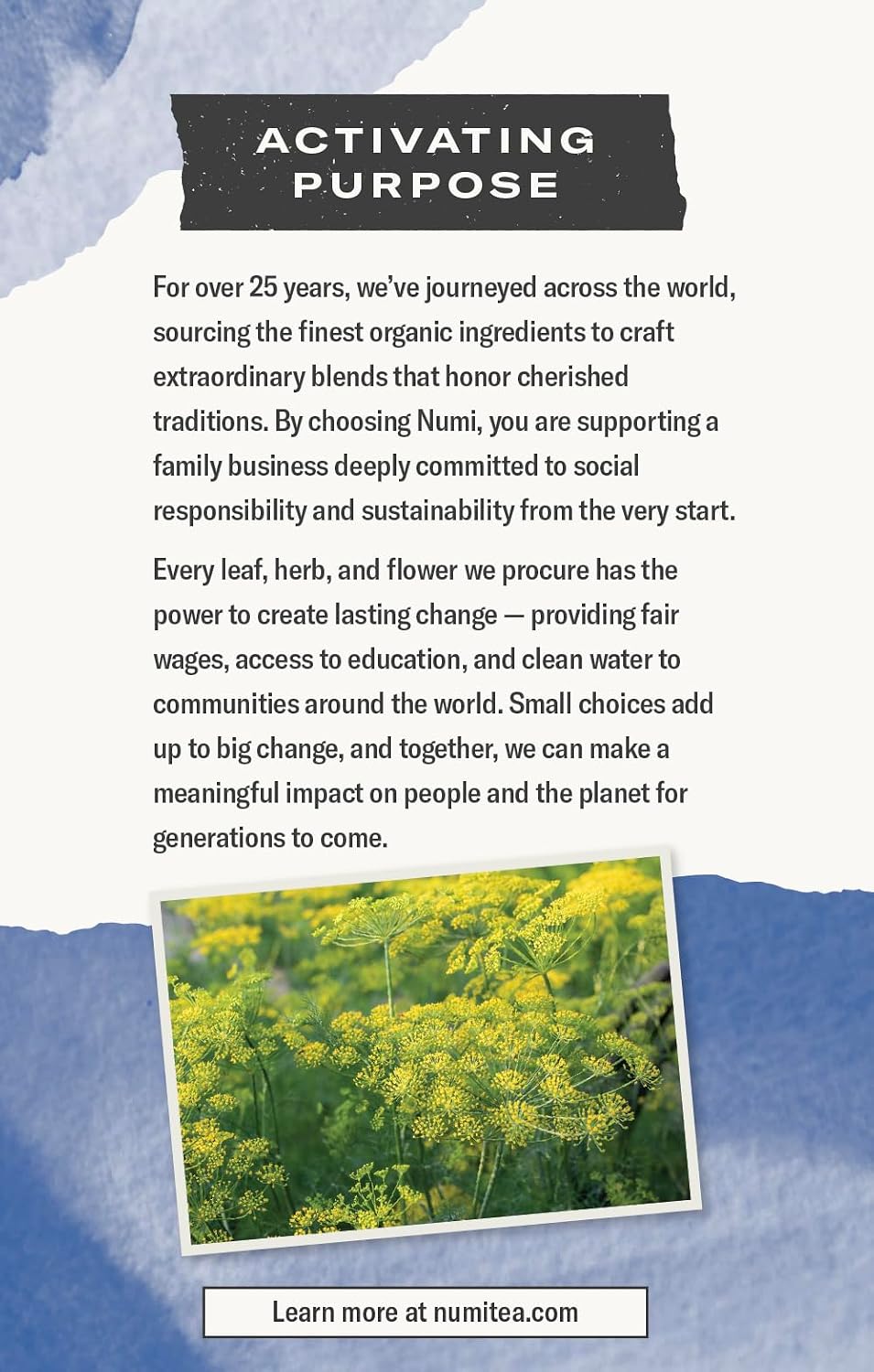 Numi Organic Congest Away Tea