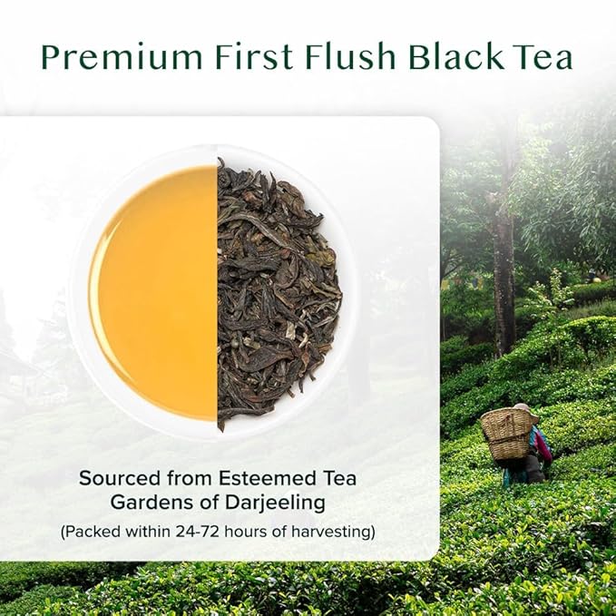 VAHDAM, First Flush Darjeeling Tea - 170+ Cups (340g/12oz) Loose Leaf Black Tea - Flowery, Aromatic & Delicious | Mellow & Fragrant | Vacuum Sealed Pack