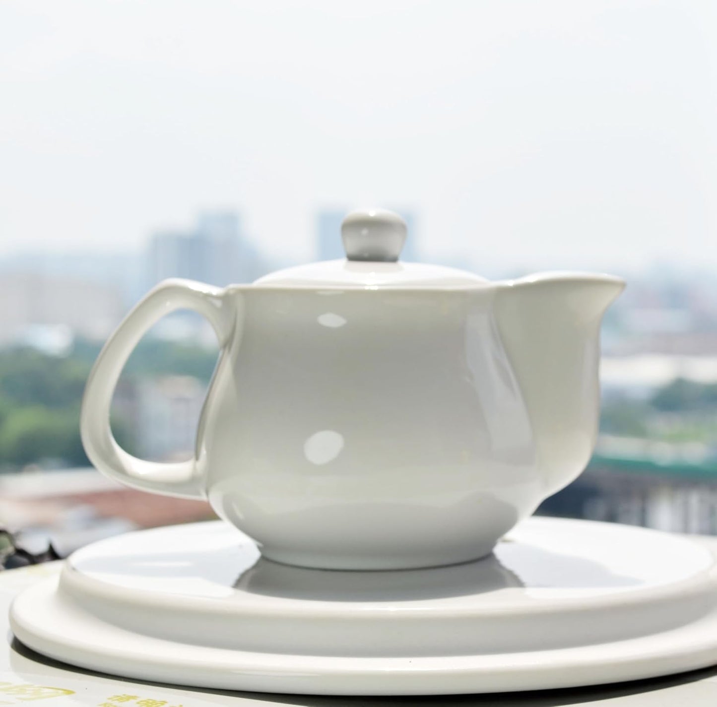 Porcelain Teapot ，9oz Small Ceramic Tea Pot with Infuser White Kettle