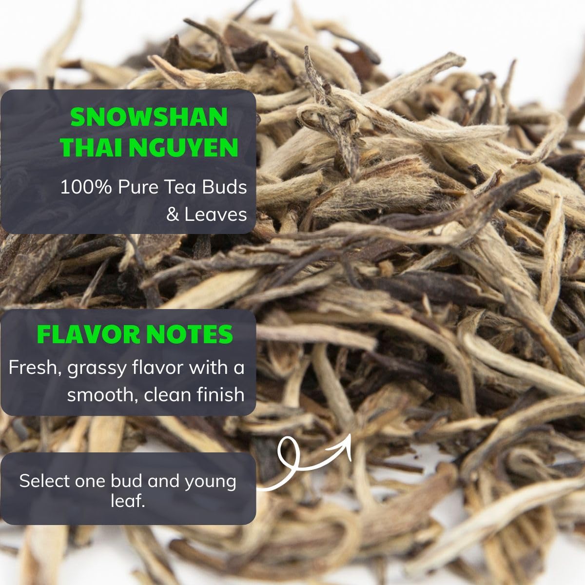BACH TRA Snowshan White Tea Loose Leaf – 3.53 oz | Vietnamese Rare Shan Tuyet Buds | Vacuum-Sealed Fresh