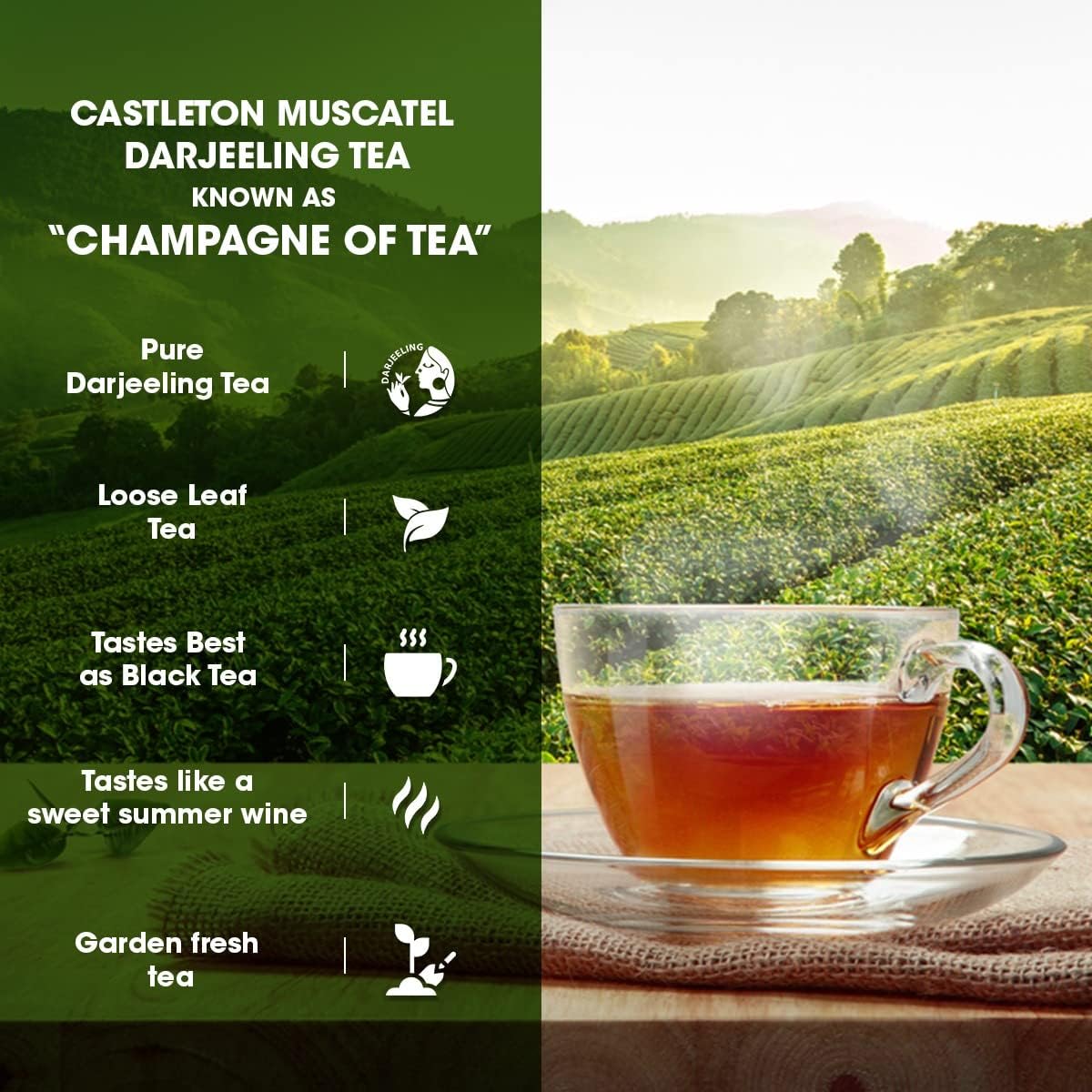 Castleton Premium Muscatel Darjeeling Tea
