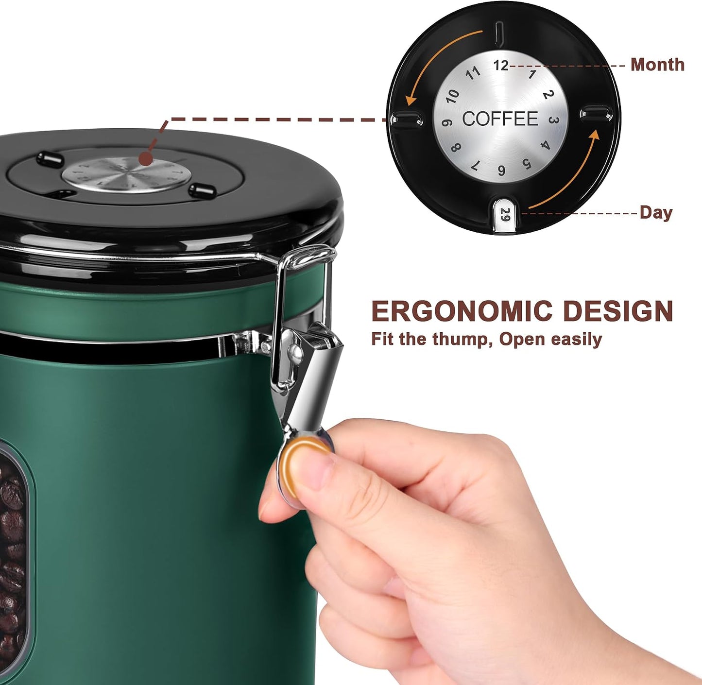 ROCKY&amp;CHAO Airtight Coffee Canister with Date Tracker &amp; Transparent Window, 22OZ Large Tea Coffee Canisters, Coffee Storage Canister, Coffee Container with 30ml Measure Spoon and 4 Co2 Valve(Green)