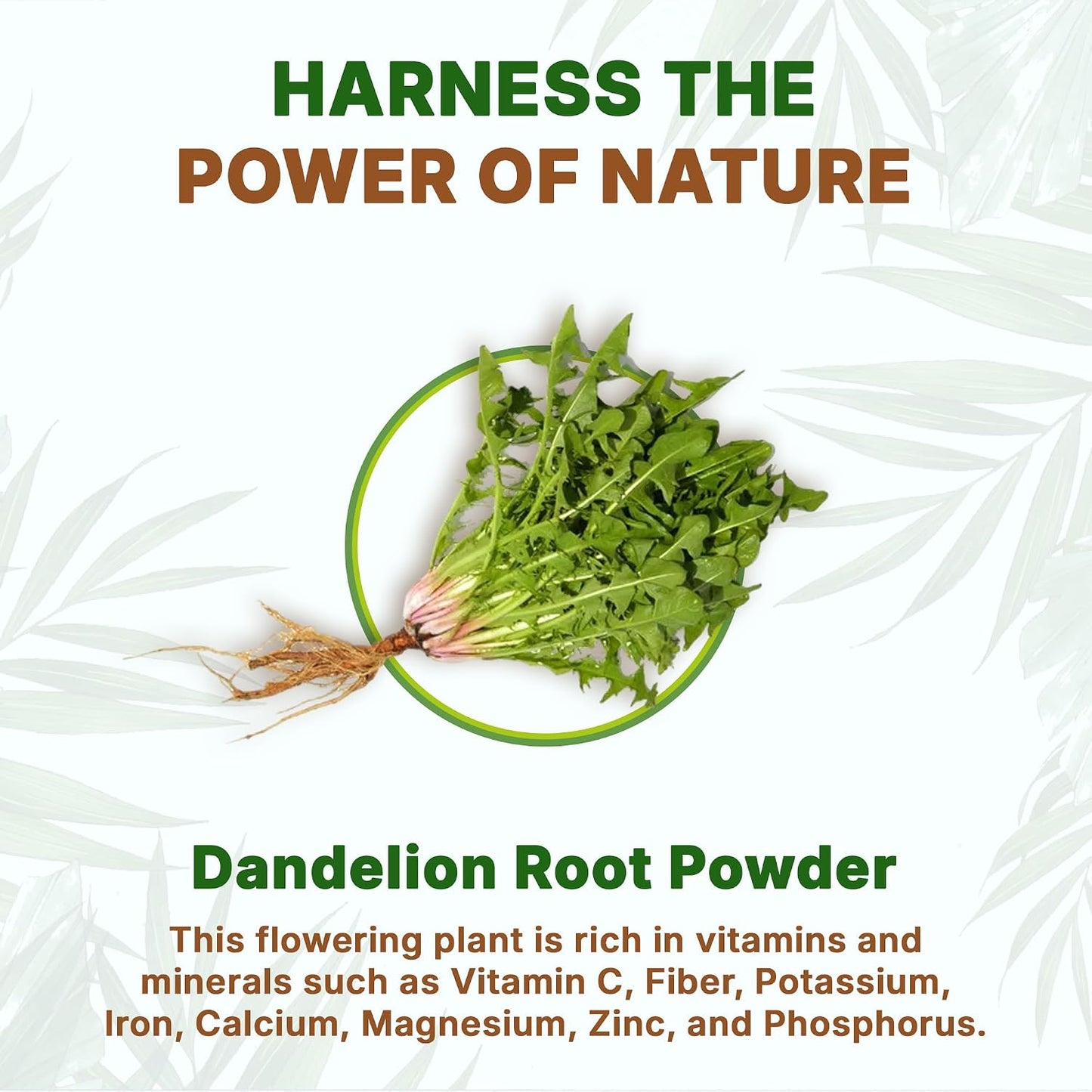 Dandelion Root Extract Powder for Tea, Coffee &amp; Beverages, 8 oz | Dandelion Powder with Concentrated 10:1 Processing | Naturally Rich in Antioxidants | Vegan, Non-GMO | Caffeine &amp; Filler Free