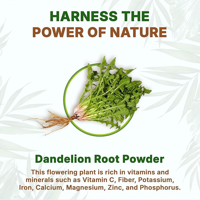Go Nutra Dandelion Root Powder for Tea, Coffee & Beverages | Concentrated 10:1 Dandelion Root Extract Powder, Caffeine Free | Antioxidants, Digestion & Immune System | Non-GMO, Vegan | 8 oz