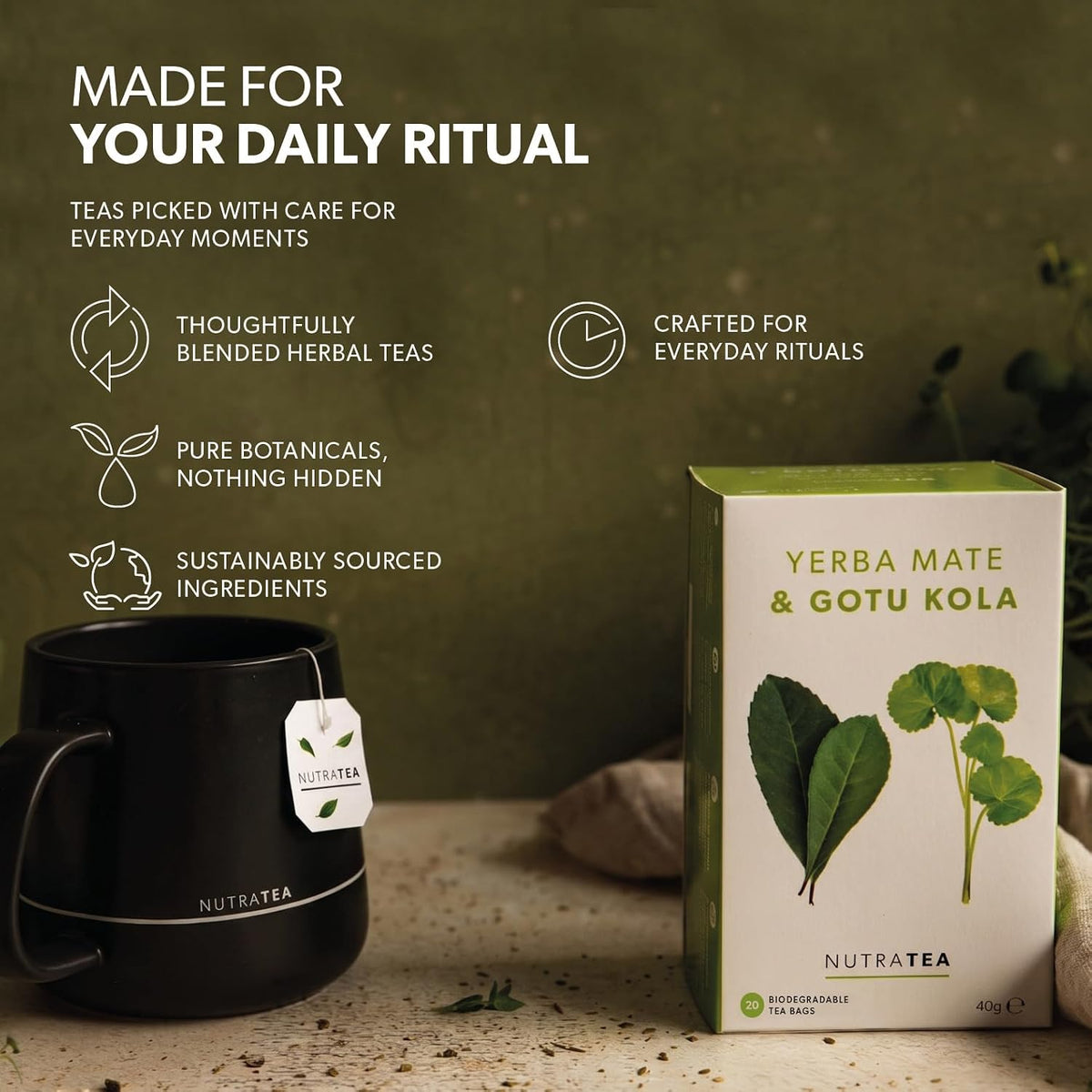 Nutra Tea - Yerba Mate &amp; Gotu Kola - Yerba Mate Tea, Focus Tea - With Centella Asiatica - Caffeine Alternative Without the Jitters - 20 Individually Wrapped Bags - Herbal Infusion (1 Pack)