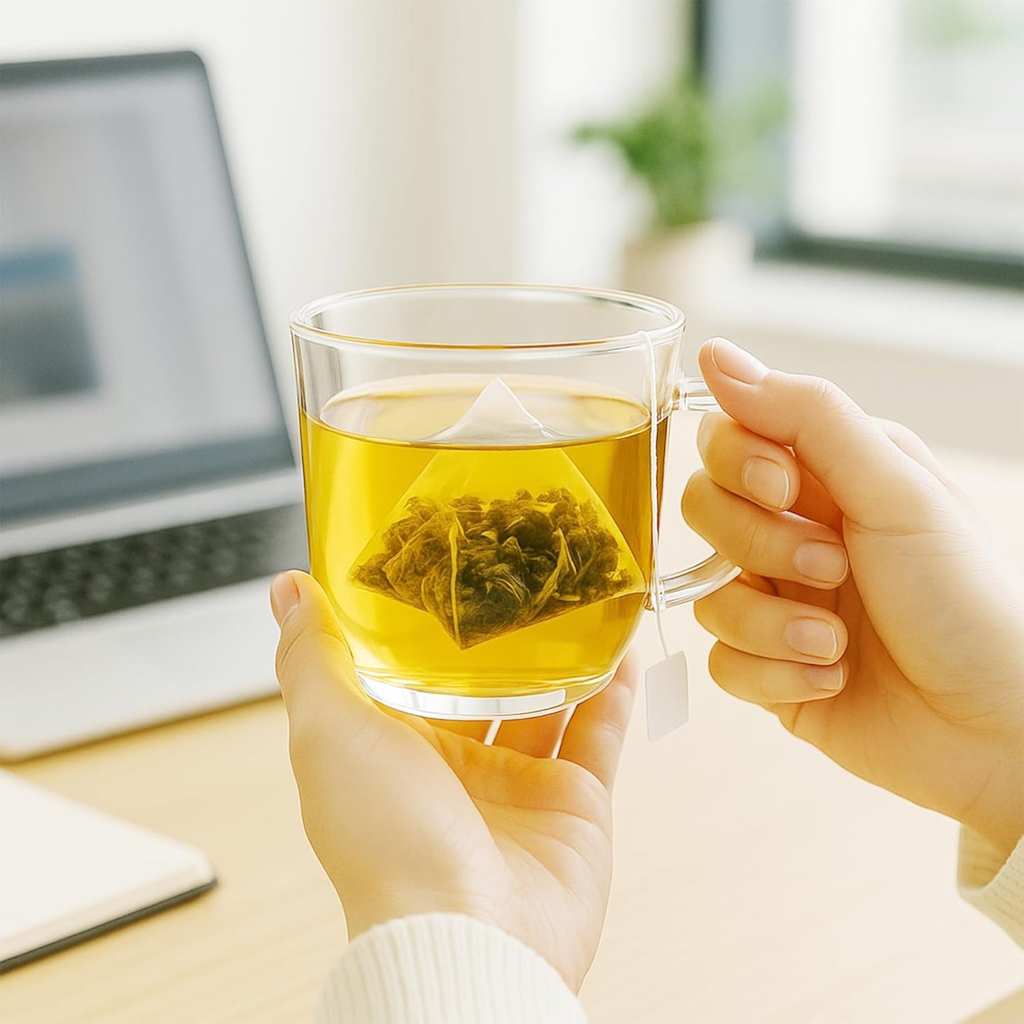 Teacrave, Light Roasted Sijichun Oolong Tea Bags 15 Sachets (45g) | Taiwan Oolong | Four Season Oolong