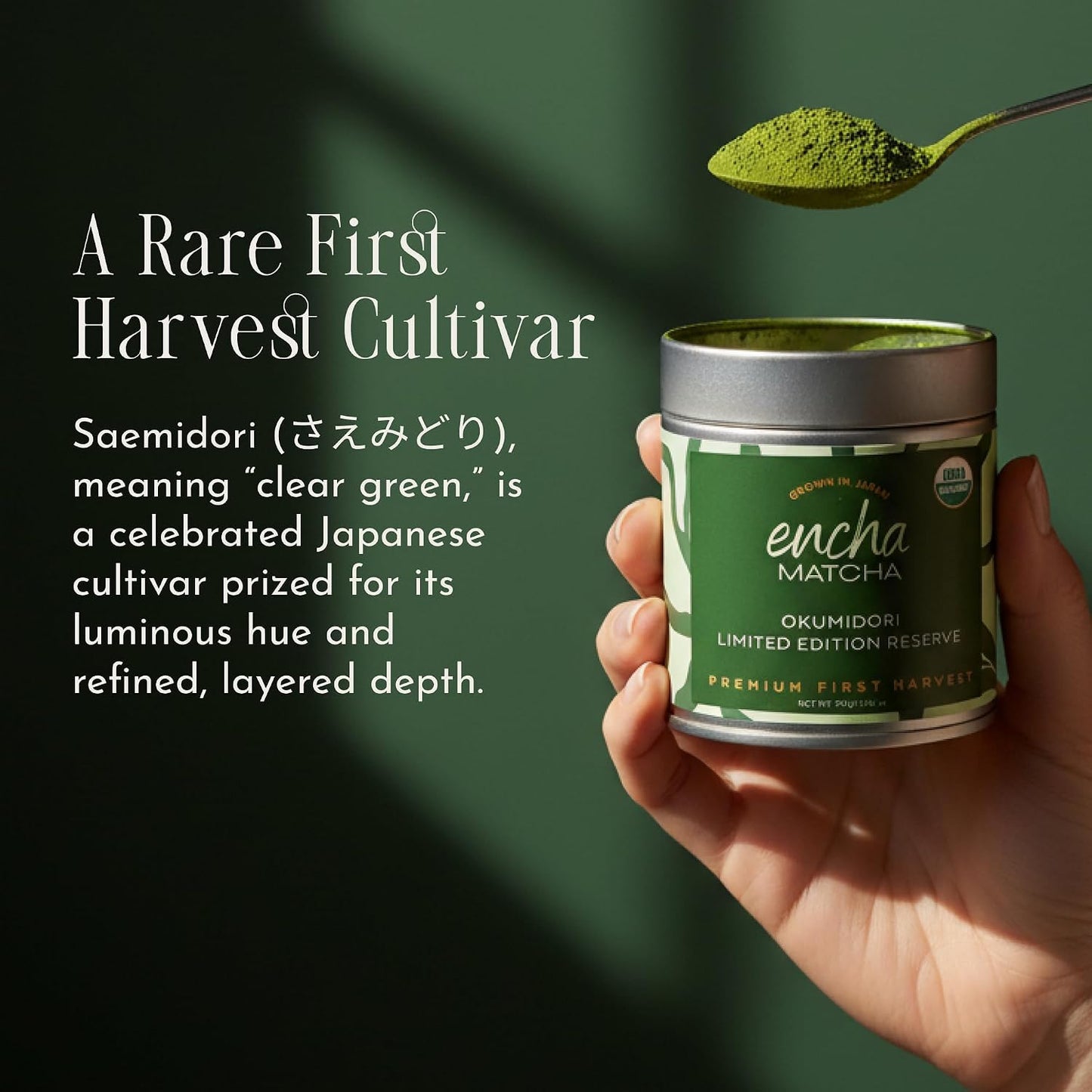 Encha Matcha Tea Okumidori Limited Edition Reserve - Ceremonial Grade Matcha Powder - Single Origin - Premium First Harvest Organic, Japanese - 1.06oz/30g Tin