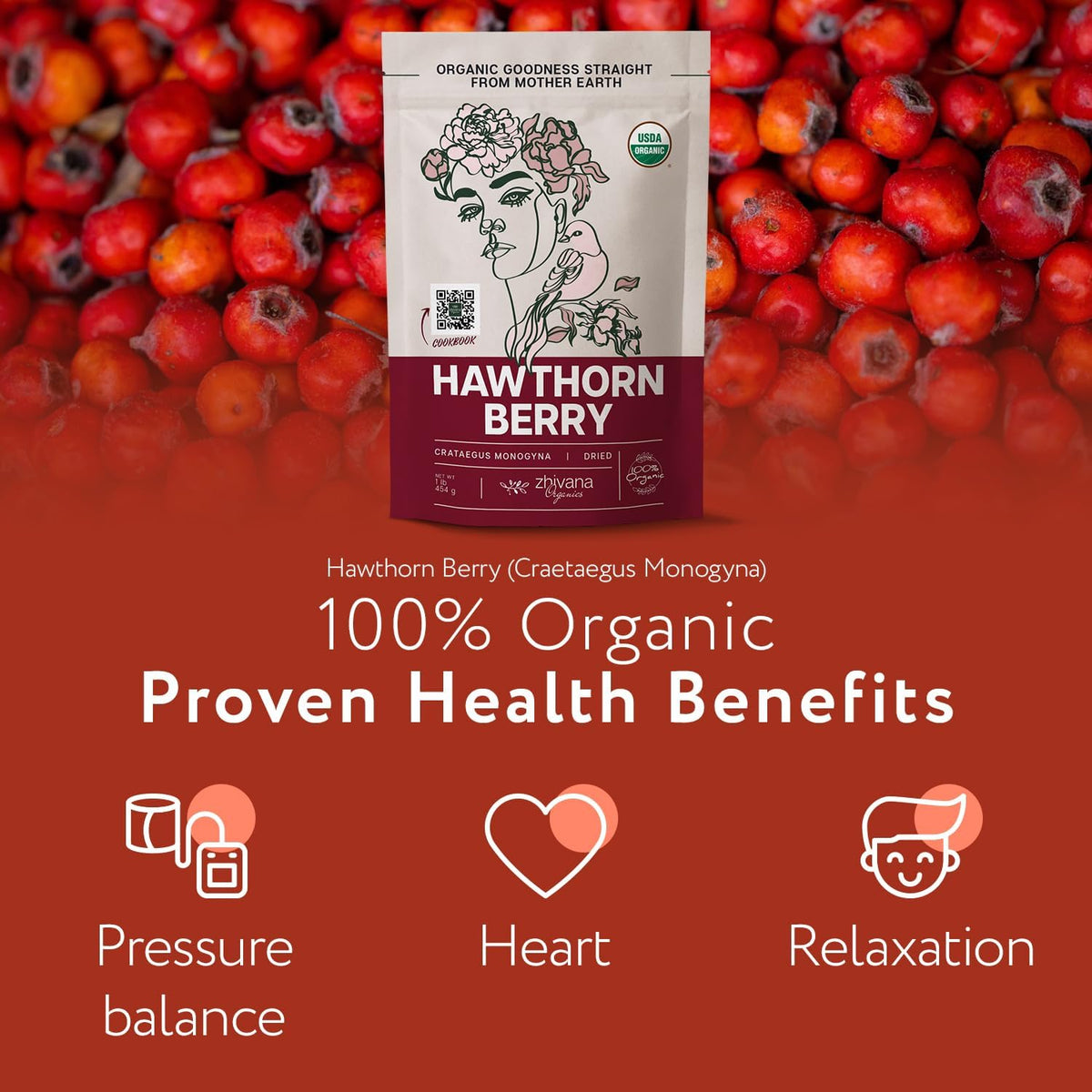 Hawthorn Berry Tea Organic (16 oz)
