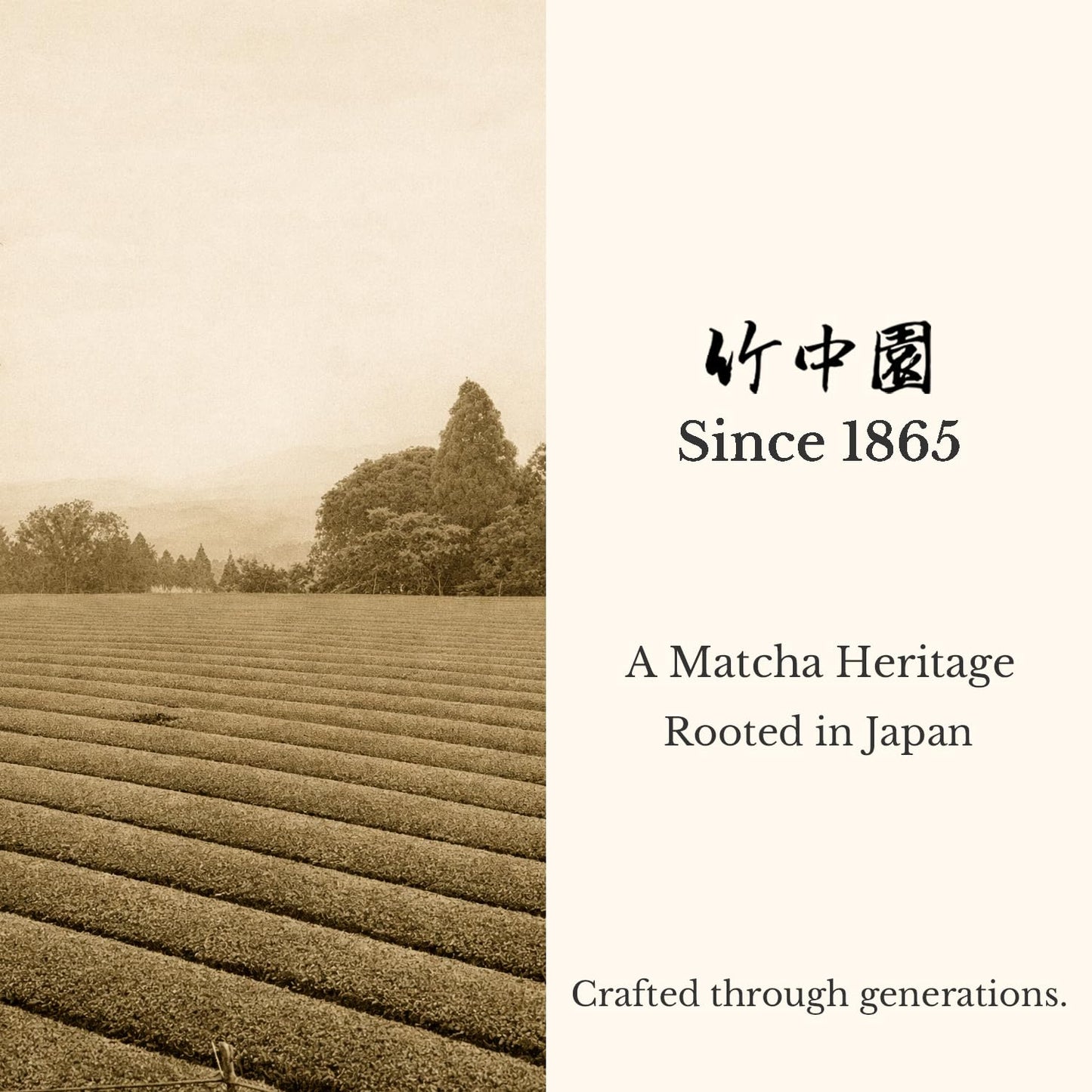 TAKENAKAEN SASHICHI Fujikaze Ceremonial Grade Matcha Powder, First Harvest Japanese Matcha Green Tea, Made in Japan, 30g / 1.06 oz