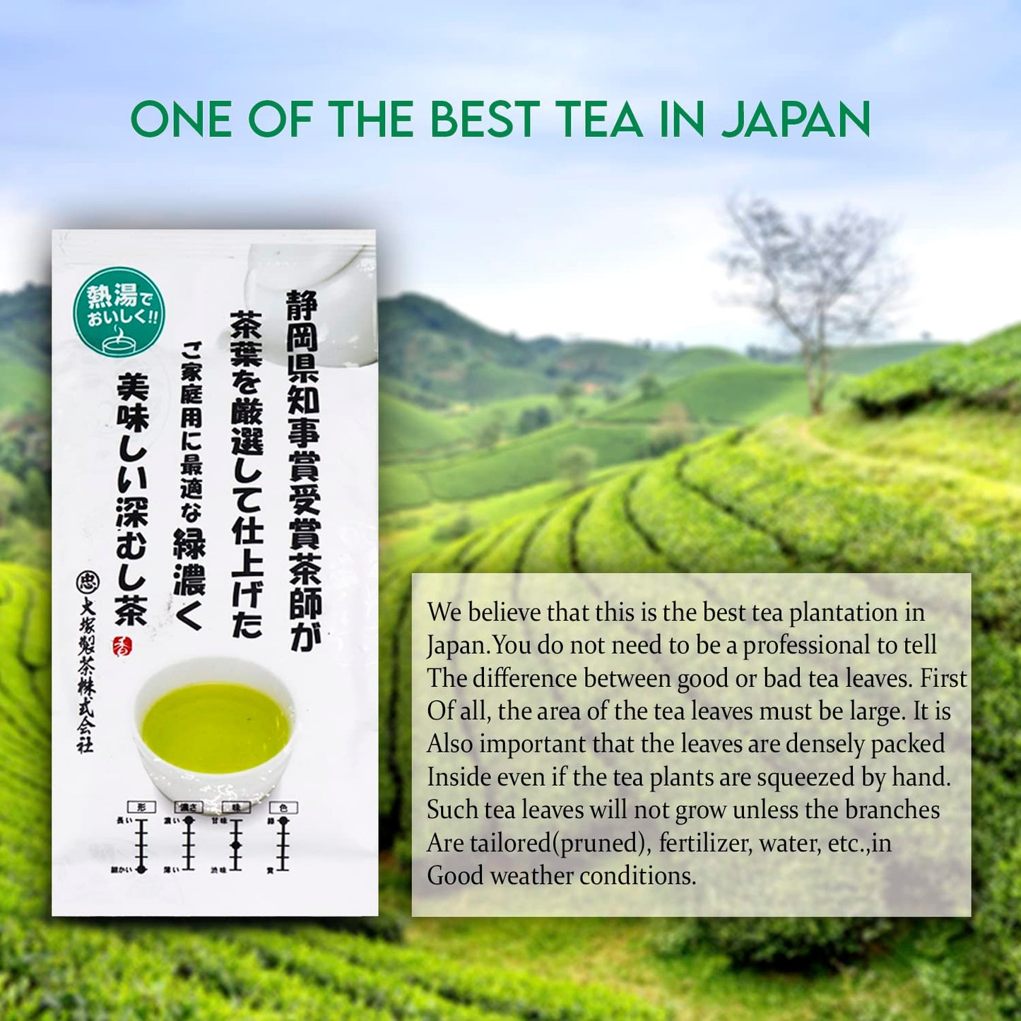 Otsuka Green Tea Co - Kakegawa Deep Steamed Sencha (Award-Winning Japanese Green Tea) 100g - Directly Imported from Japan