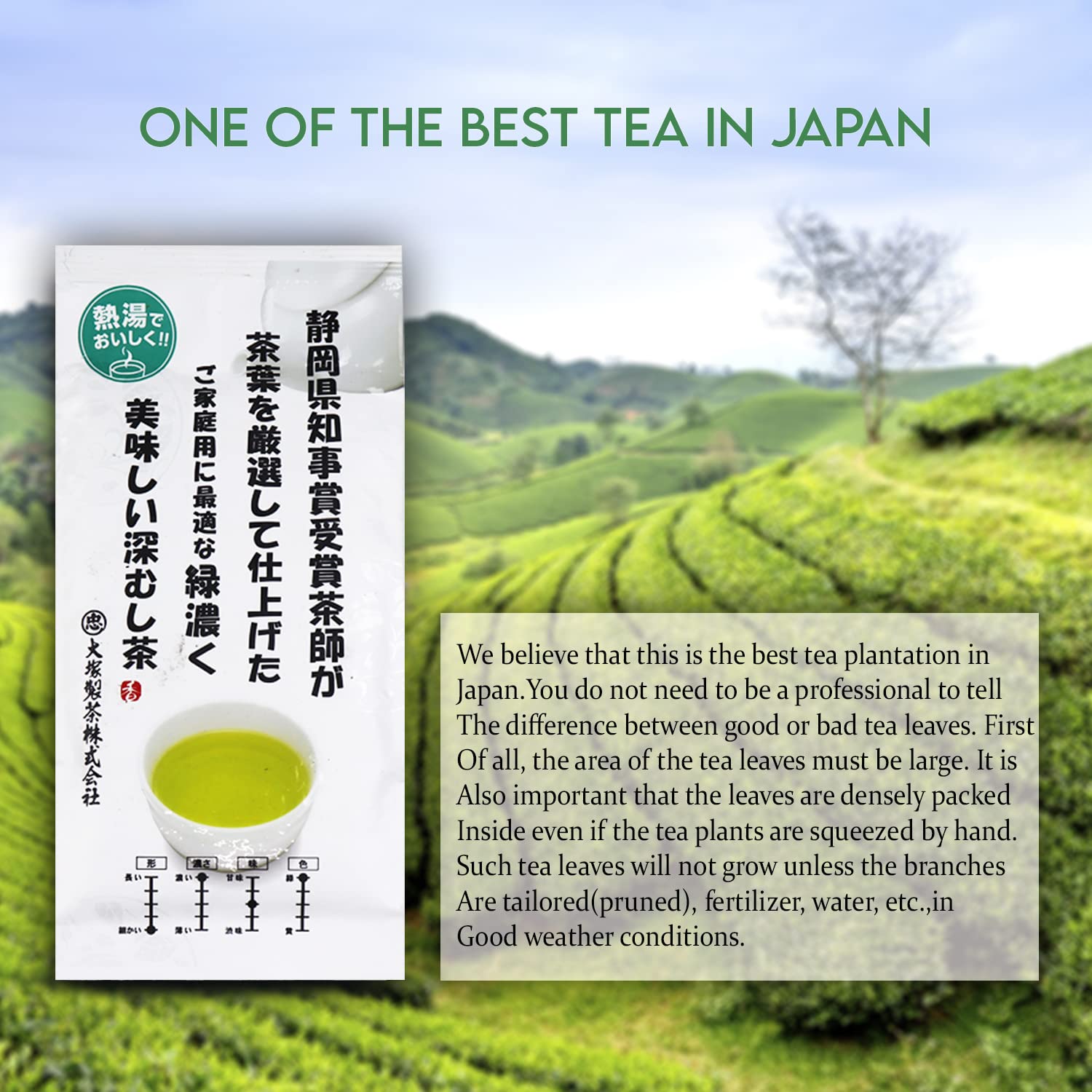 Otsuka Green Tea Co - Kakegawa Deep Steamed Sencha (Award-Winning Japanese Green Tea) 100g - Directly Imported from Japan