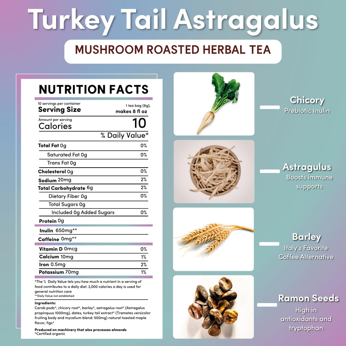 Teeccino Turkey Tail Astragalus - Toasted Maple - Caffeine Free Mushroom Adaptogenic Herbal Tea, 3x More Herbs than Regular