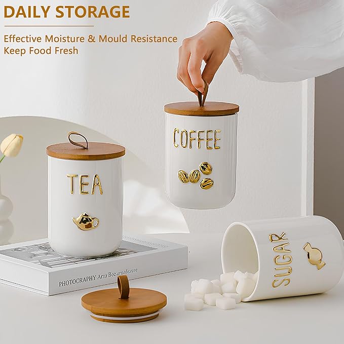 Comeon Ceramic Canister Set with Airtight Seal Bamboo Lid Silicone, 27oz Food Storage Jars for Coffee Sugar Tea, Container Set for Kitchen Pantry Counter Decor (Tea)