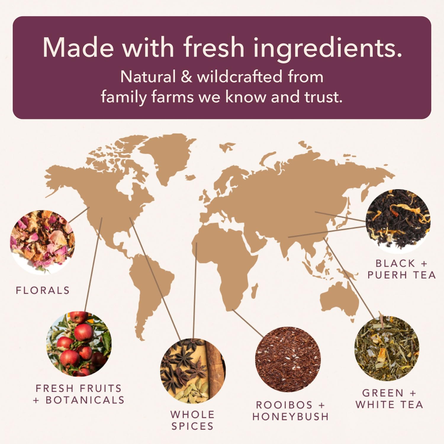 Tranquil Peach Herbal Tea – Caffeine-Free Loose Leaf Blend with Chamomile, Peach and Pineapple – Soothing Hot or Iced Tea for Relaxation – 75 to 100 Cups – Ethically Sourced and Hand-Blended in USA