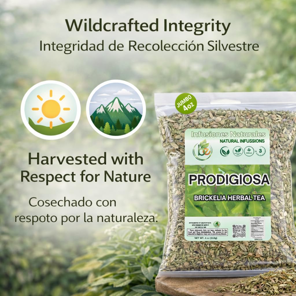 B-Experts Prodigiosa Herbal Tea – 4 oz (113g) – 100% Natural Mexican Herb – Wildcrafted Brickellia – Vegan, Non-GMO – Loose