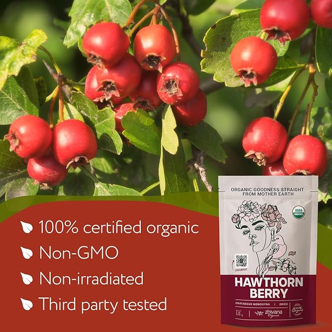 Zhivana Organics Hawthorn Berry Tea – European Origin, Wild Crop, 32oz