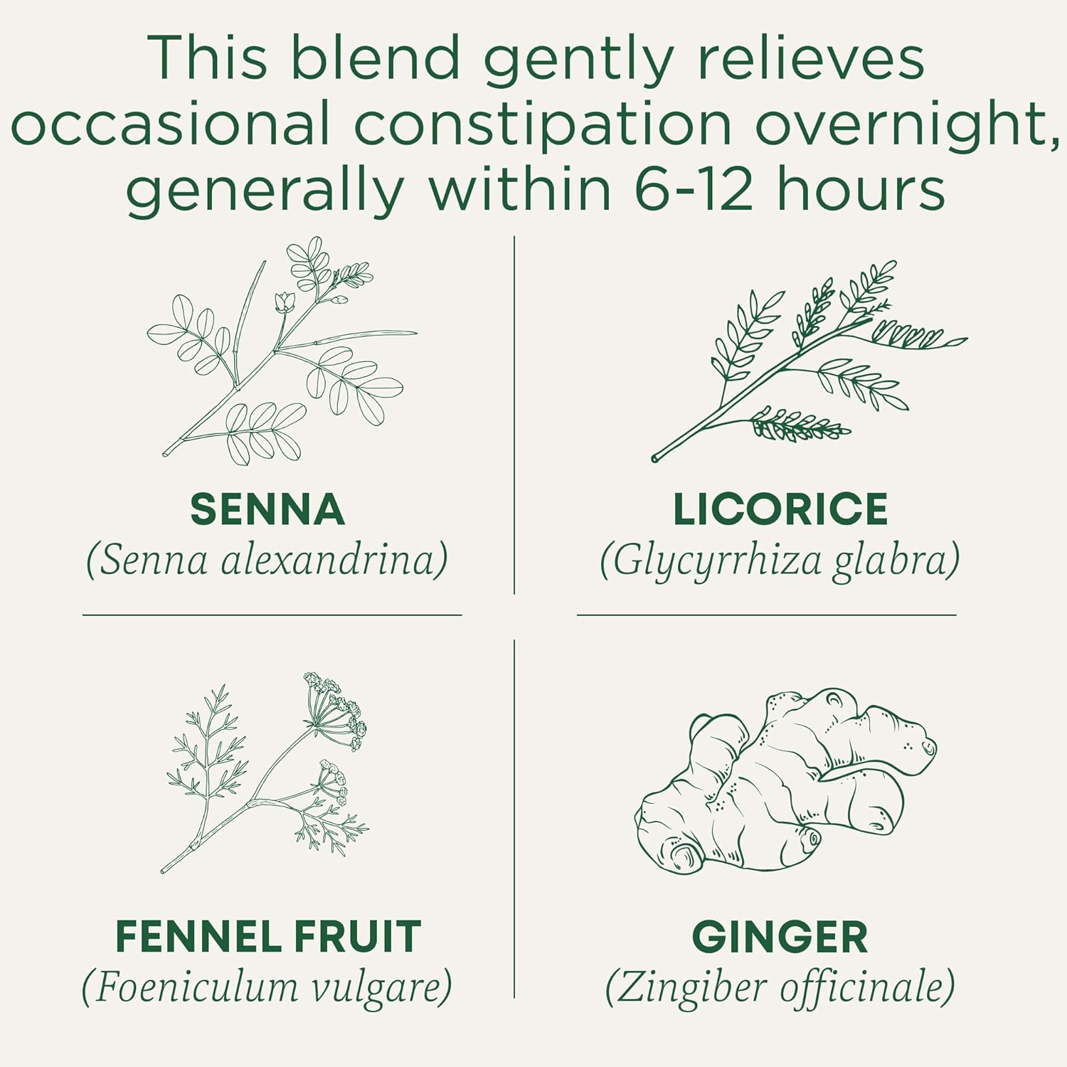 Traditional Medicinals Organic, Smooth Move Tea, Original with Senna - Helps Relieve Constipation Overnight - Kosher, Non-GMO, Caffeine-Free - 32 Tea Bags