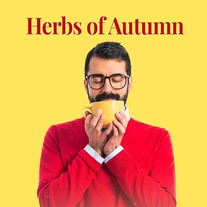 The Republic of Tea - Hot Apple Cider Tea, 36 Tea Bags, Tin | Harvest Herbal Blend | Caffeine-free (Pack of 2)