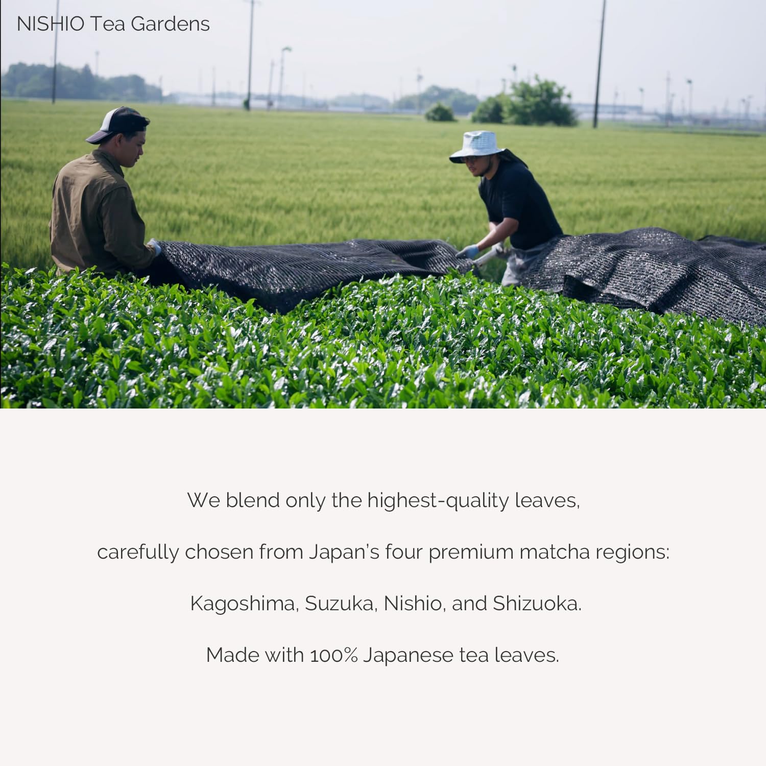 TAKENAKAEN SASHICHI Kouun no Shiro Ceremonial Grade Matcha Green Tea Powder, First Harvest, Premium Japanese Matcha, Made in Japan, 30g