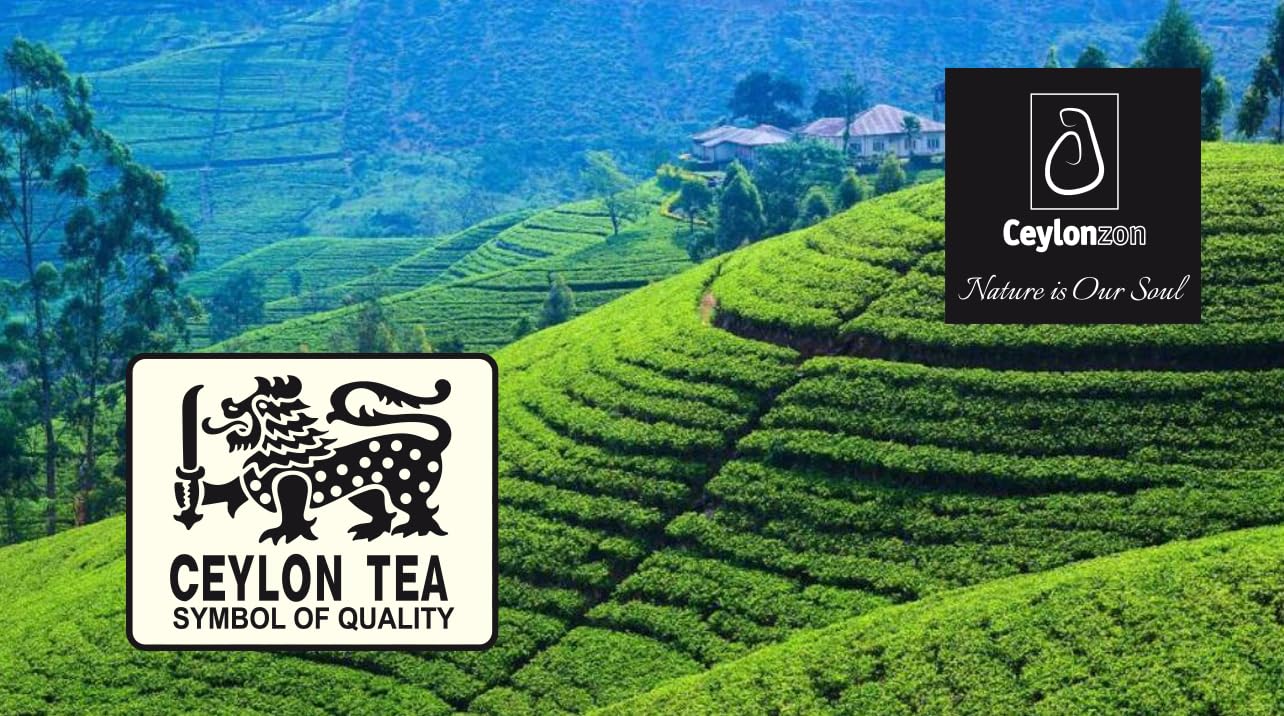Ceylonzon Earl Grey Black Tea Classic Taste 50 Individually Foil-Wrapped Tea Bags, Infused with Pure Bergamot for a Bold, Aromatic Flavor and Refreshing Experience 80g