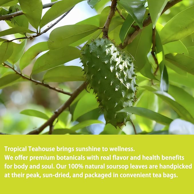 Samcci - Soursop Leaves Tea Bags, 40Teabags, 1.5g/bag, 100% Pure Graviola Leaves Tea - Hojas De Guanabana Tea - Digestive Comfort - Skin Comfort - Non-GMO - Caffeine-free