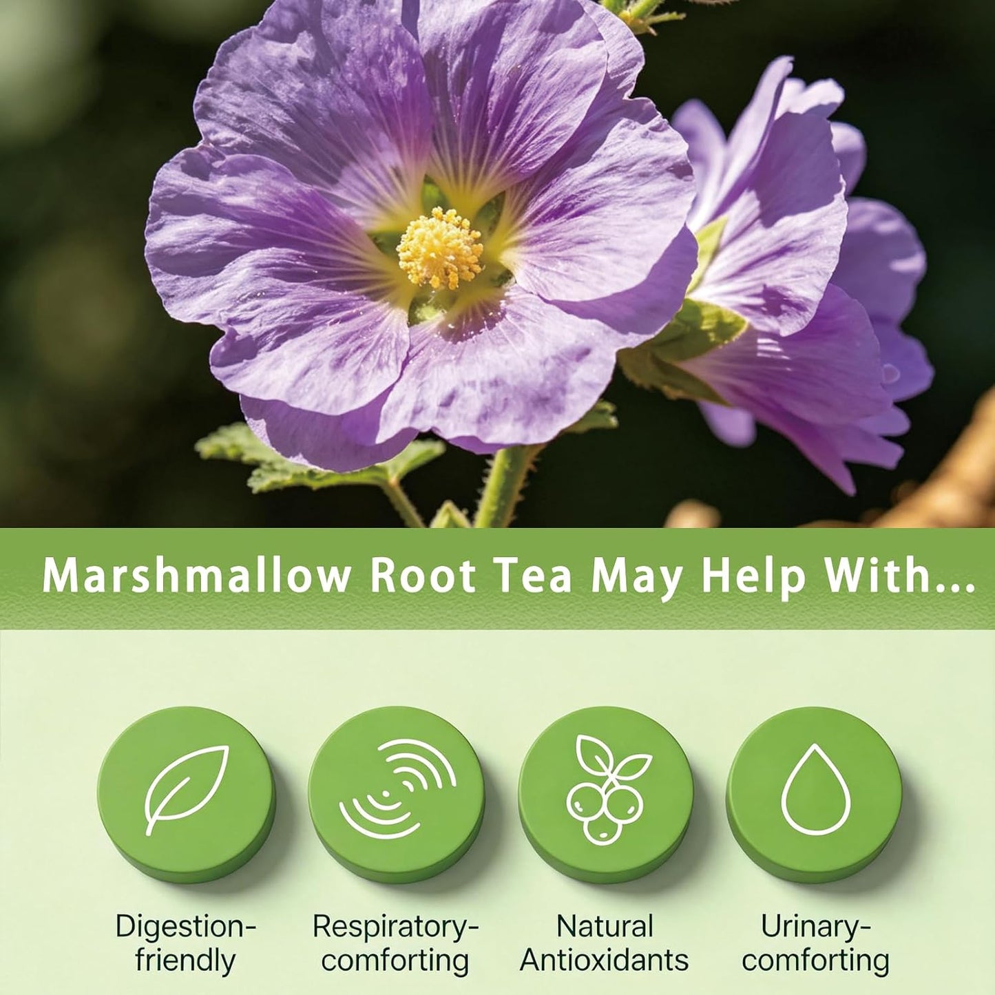 Samcci Marshmallow Root Tea Bags, 40 Count, Pure Althaea Officinalis