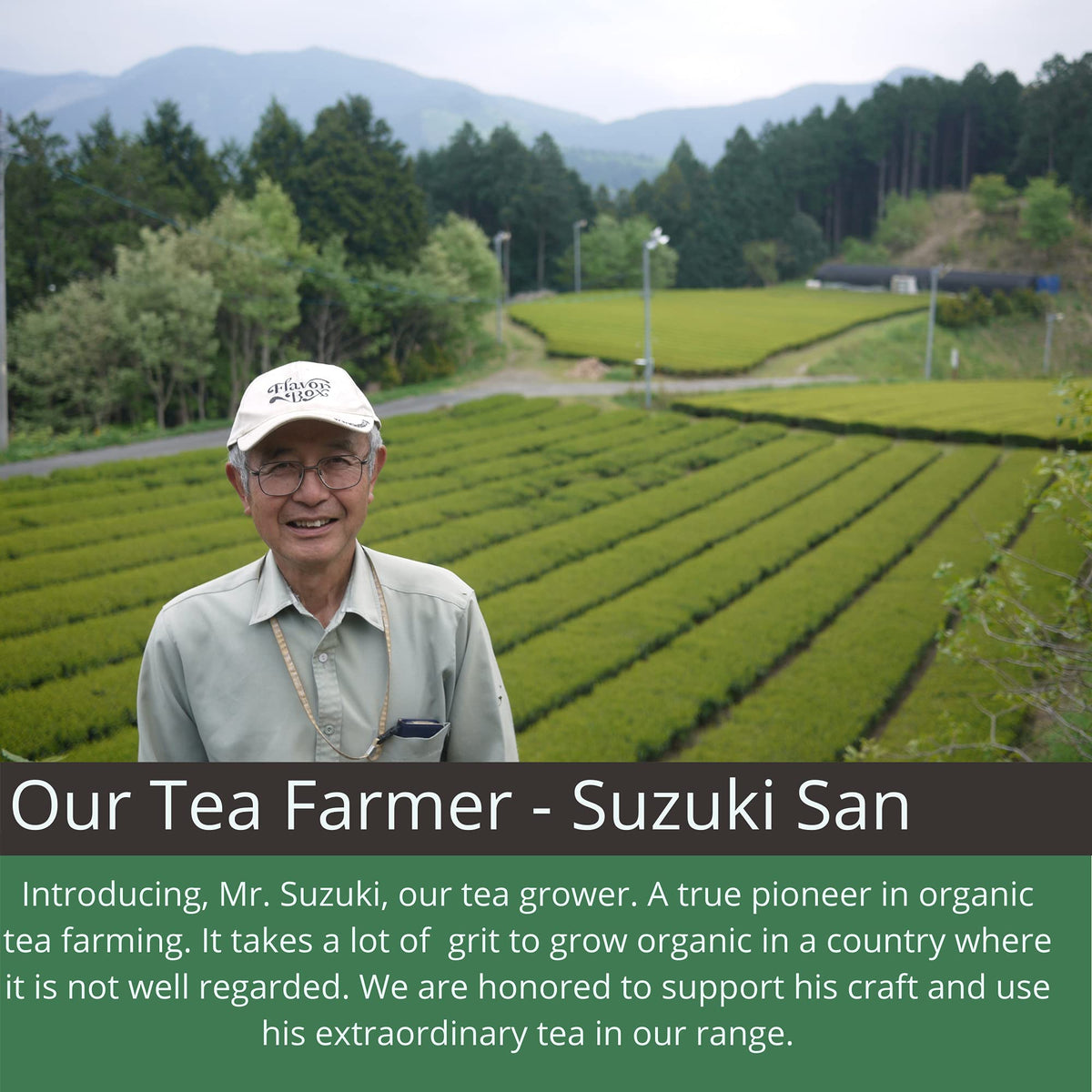 Ocha & Co. Organic Black Tea – Japanese First Harvest Japanese Loose Leaf - Benifuuki Cultivar with Zero Bitterness – Smooth