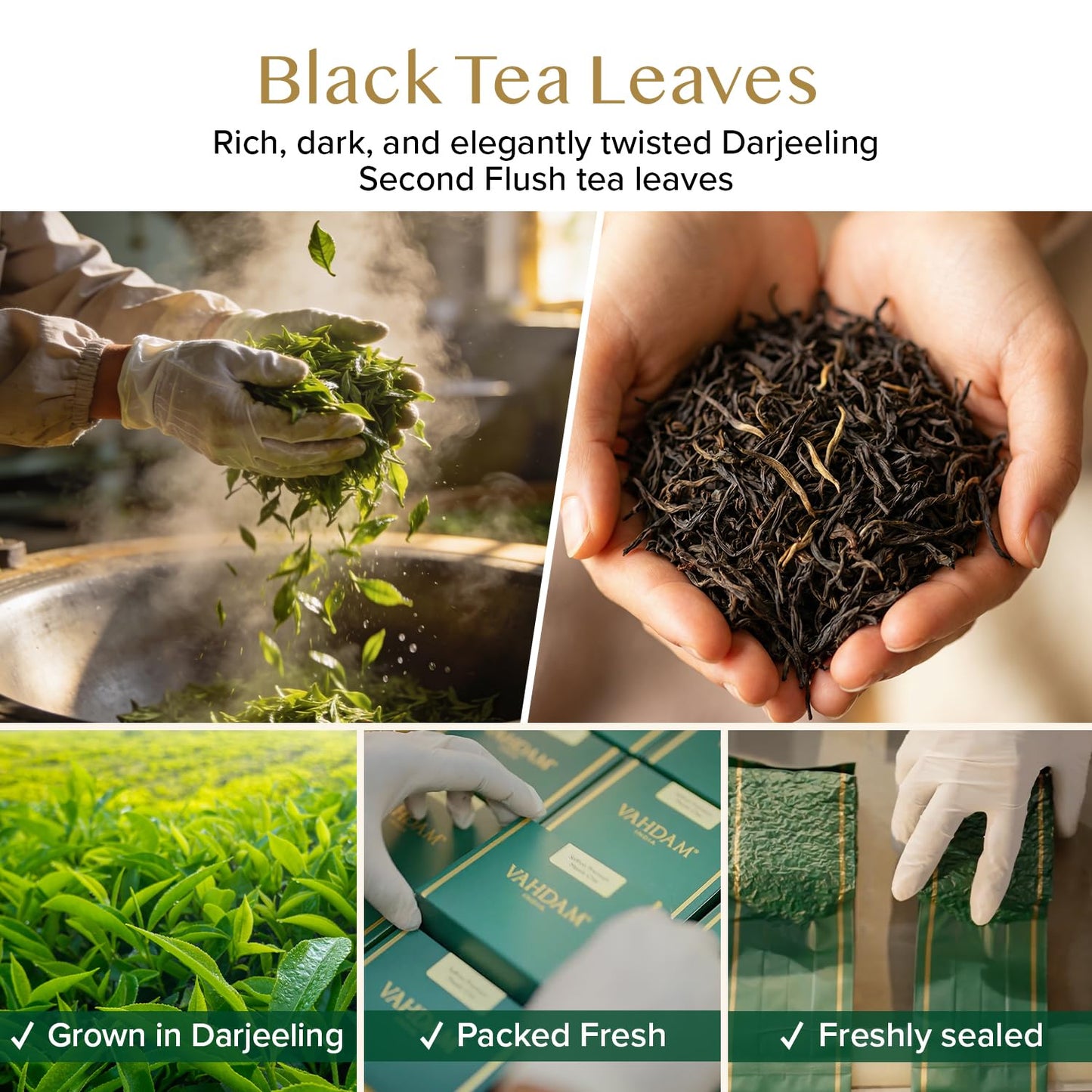 VAHDAM Darjeeling Tea Loose Leaf(12oz|170+ Cups) Quality Black Tea Leaves | Mature &amp; Robust Flavor | Caffeinated, Non GMO Gluten Free | Packed &amp; Shipped Direct From Source in India | Vacuum Sealed