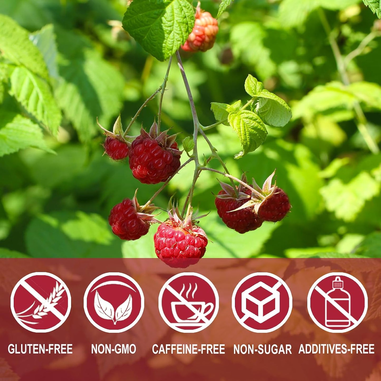 Jarteela - Raspberry Leaf Tea Bag, 60 Ct, Red Raspberry Leaf Herbal Tea | Tea with smooth, mild taste， Caffeine-free, Non-GMO