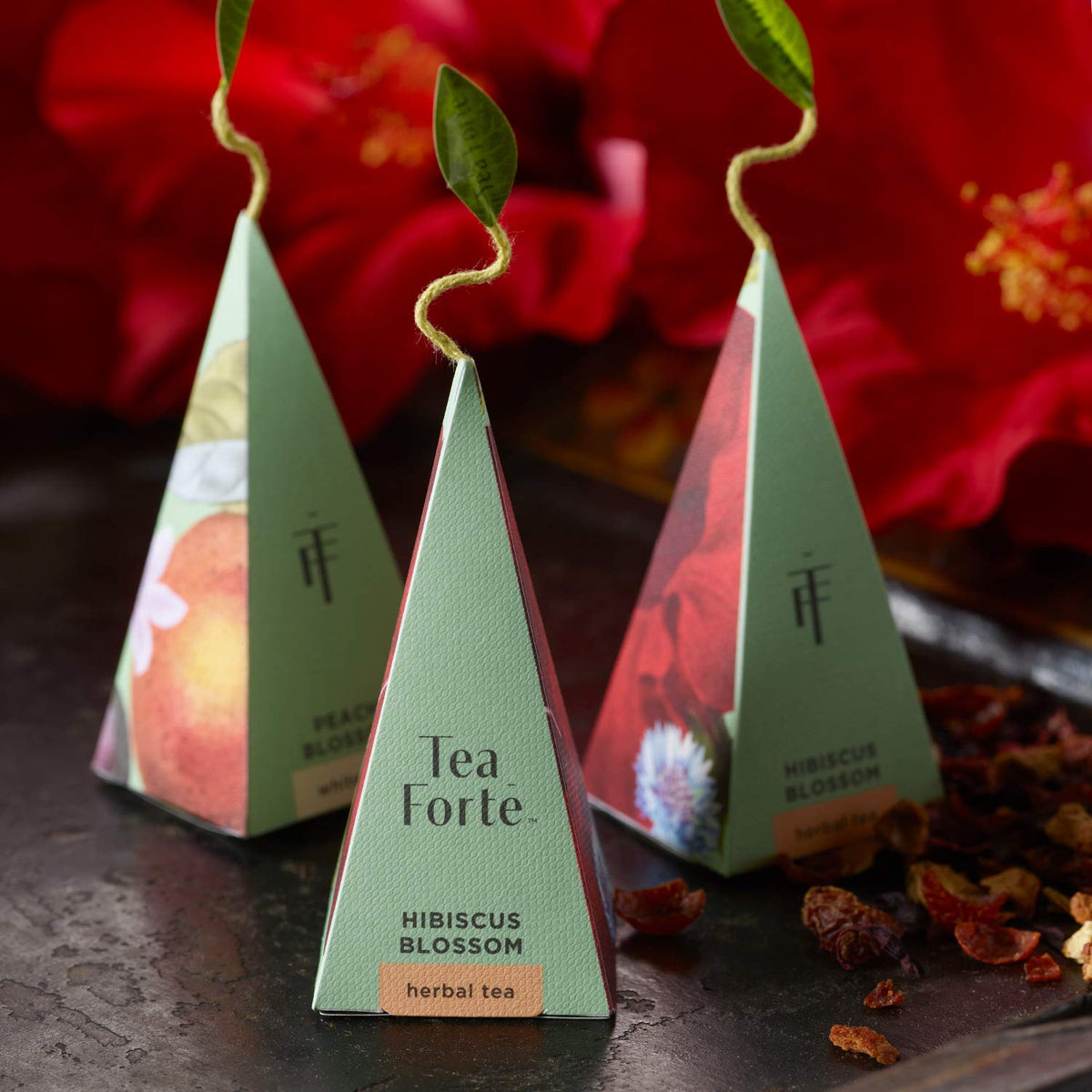 Tea Forte Premium Petite Presentation Box Gift Set Sampler, 10 Count, 2 of Each Blend Individually Wrapped Handcrafted Pyramid Infuser Bags, Fleur Tea