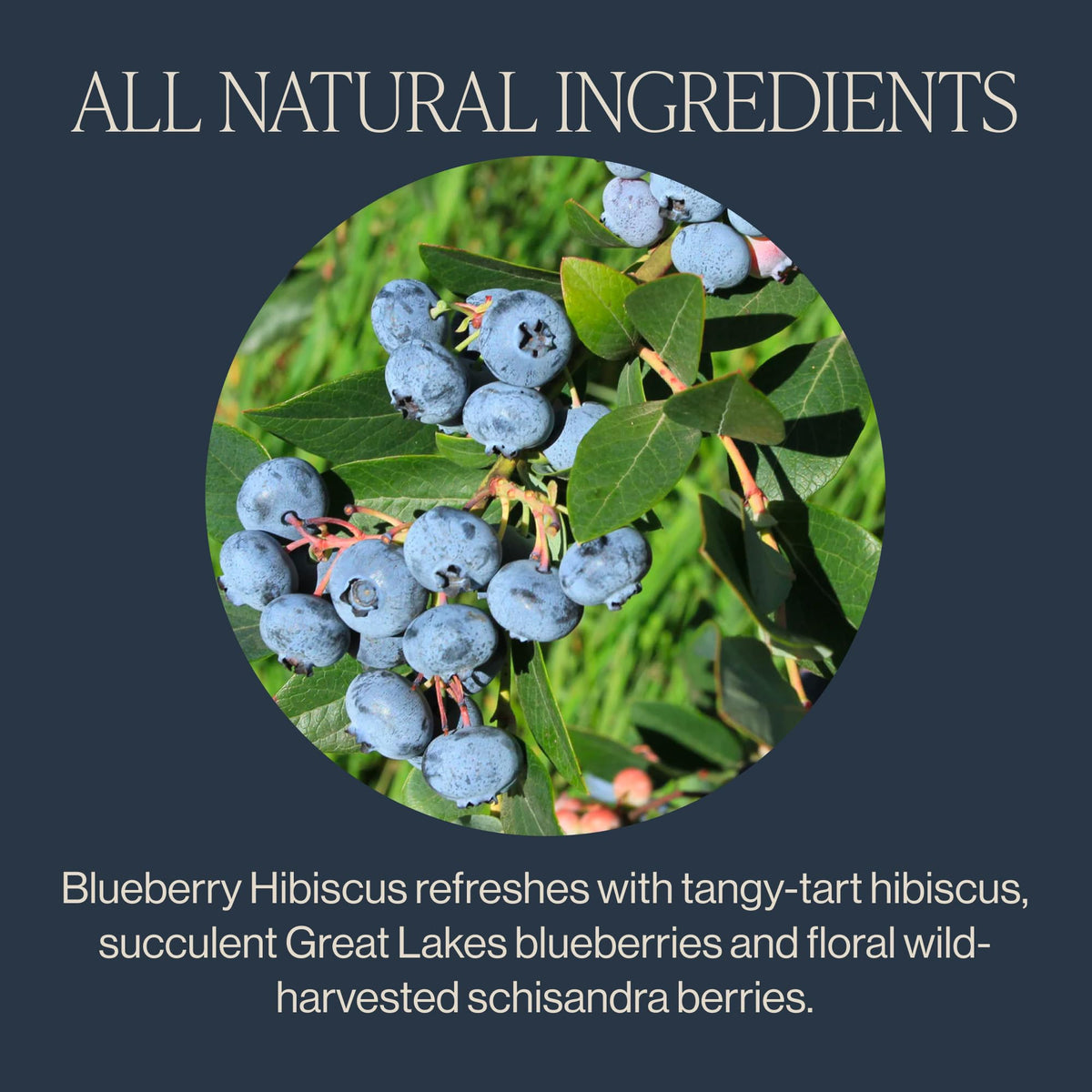 Rishi Tea Blueberry Hibiscus Organic Herbal Tea Bags, Caffeine Free, 30ct