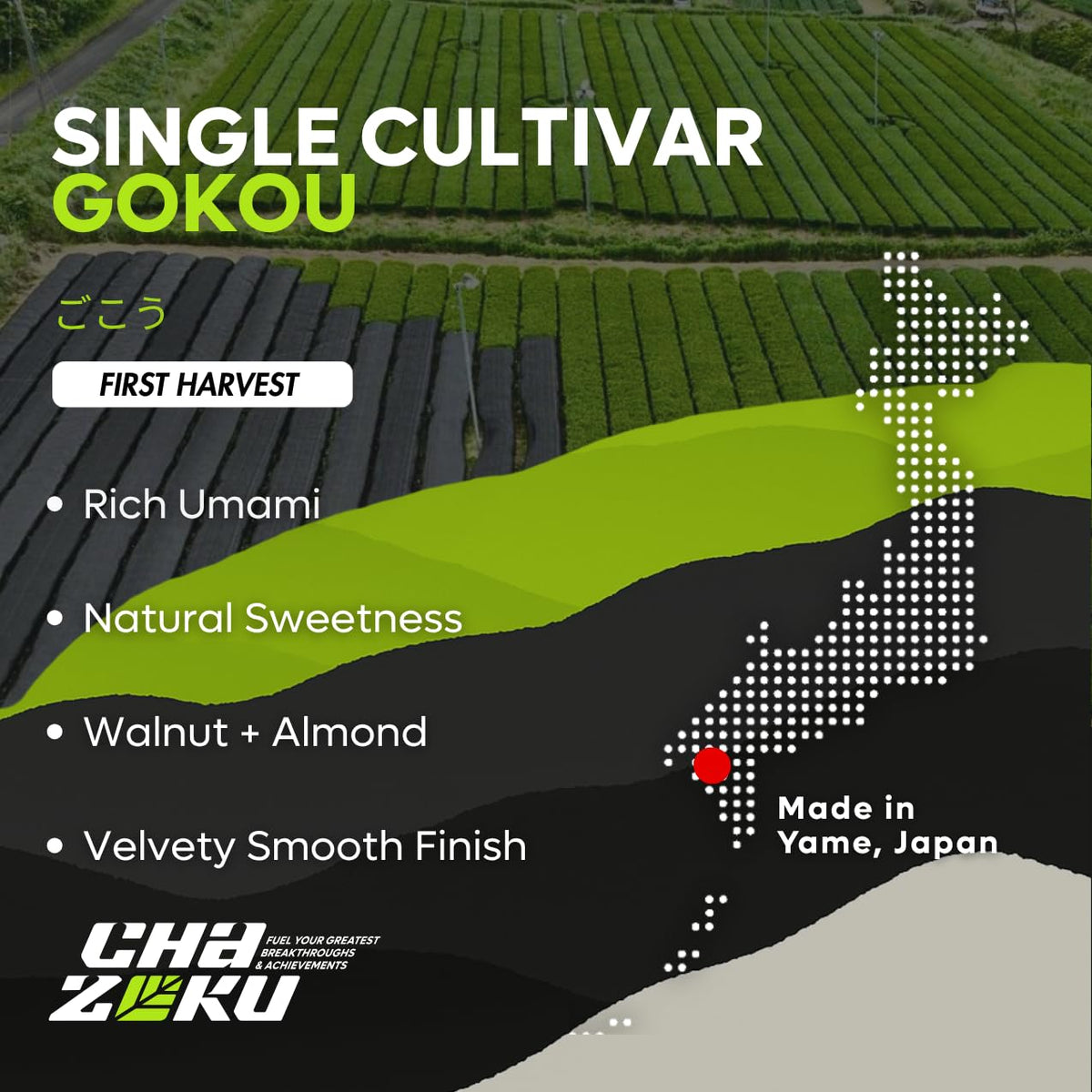 Chazoku Gokou (35g Tin) Ceremonial Grade Matcha Powder - First Harvest Single Cultivar - Japanese Matcha Green Tea Powder - Stone Milled - Fresh from Yame, Japan