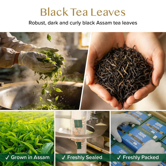VAHDAM Assam Black Tea Bags(100 Count) Assam Exotic Tea in Pyramid Tea Bags