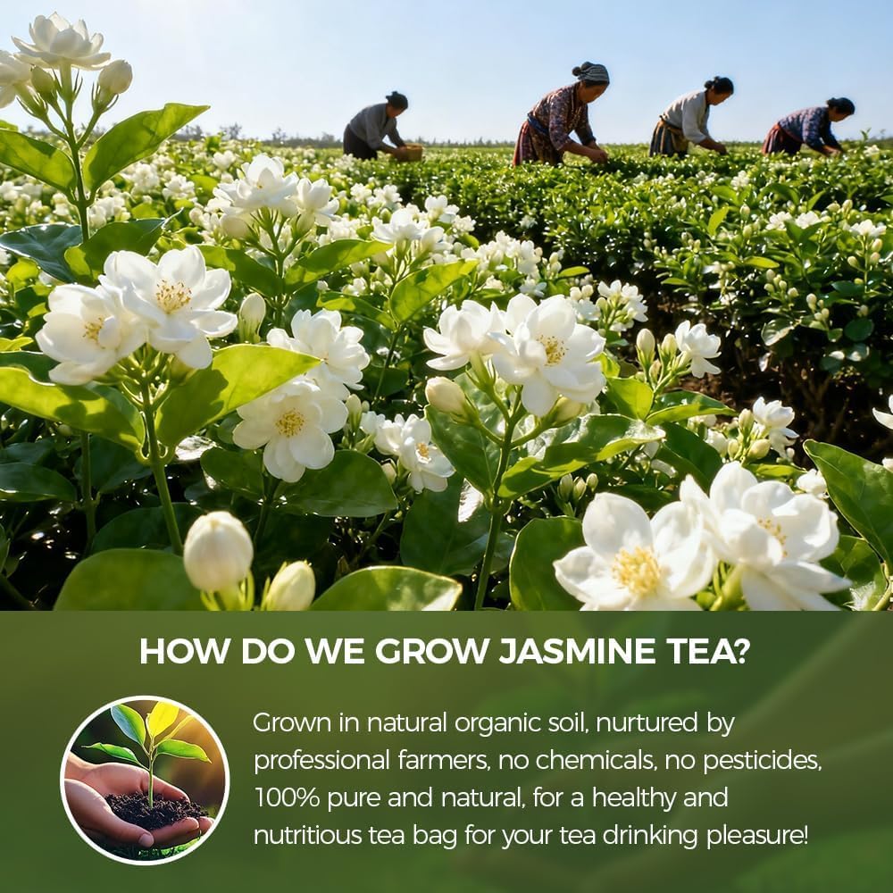 WOTIHA 80 Count Premium Jasmine Tea Bags - 100% Natural Jasmine, Aromatic Floral Fragrance, Caffeine-Free, Additive-Free, Sugar-Free, Vegan