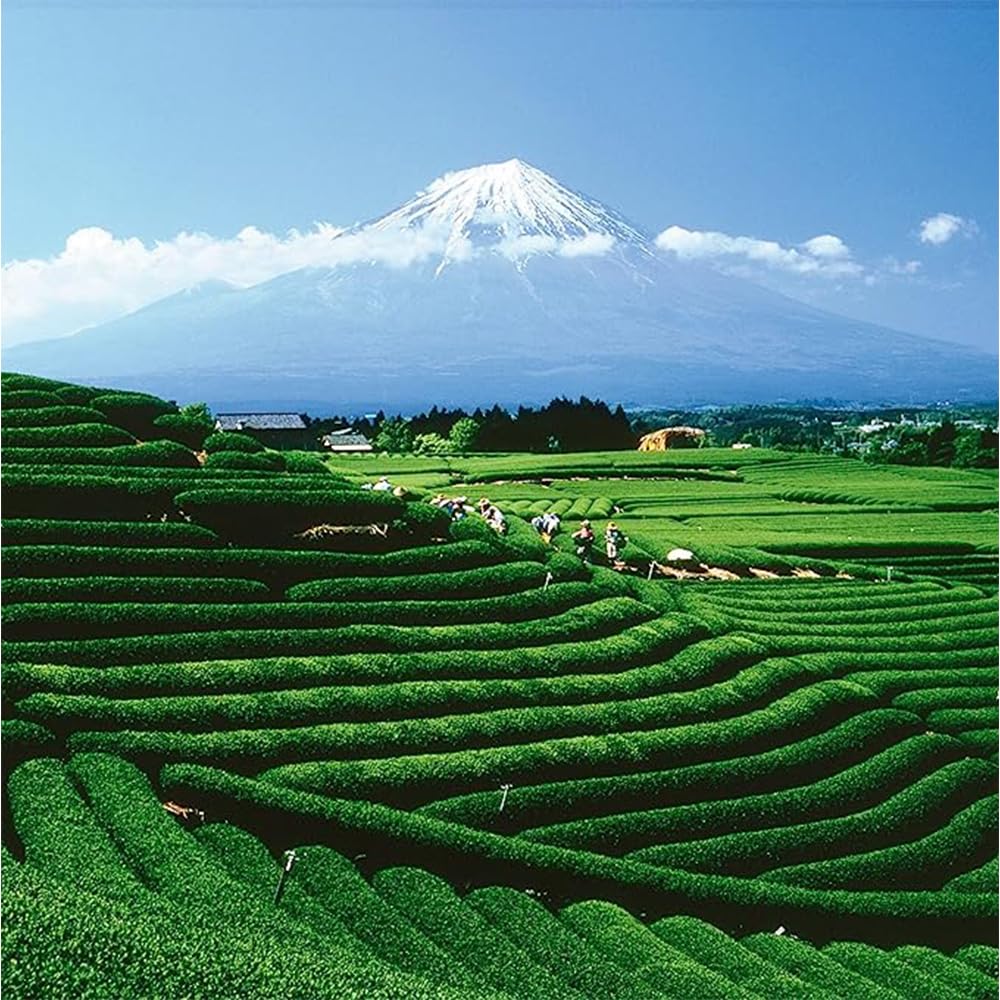 Palais des Thés - Long Jing - Chinese Green Tea - Premium Tea Bags, Serves 20 Cups