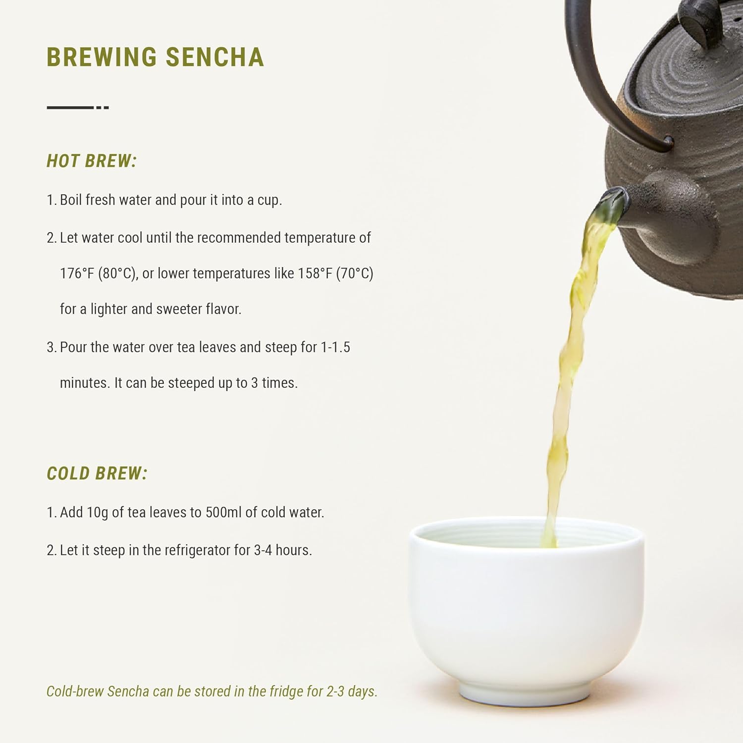 Senbird Premium Sencha - Japanese Green Tea - From Shizuoka, Japan - Loose Leaf Tea In Airtight Tea Tin (3.5oz/100g)